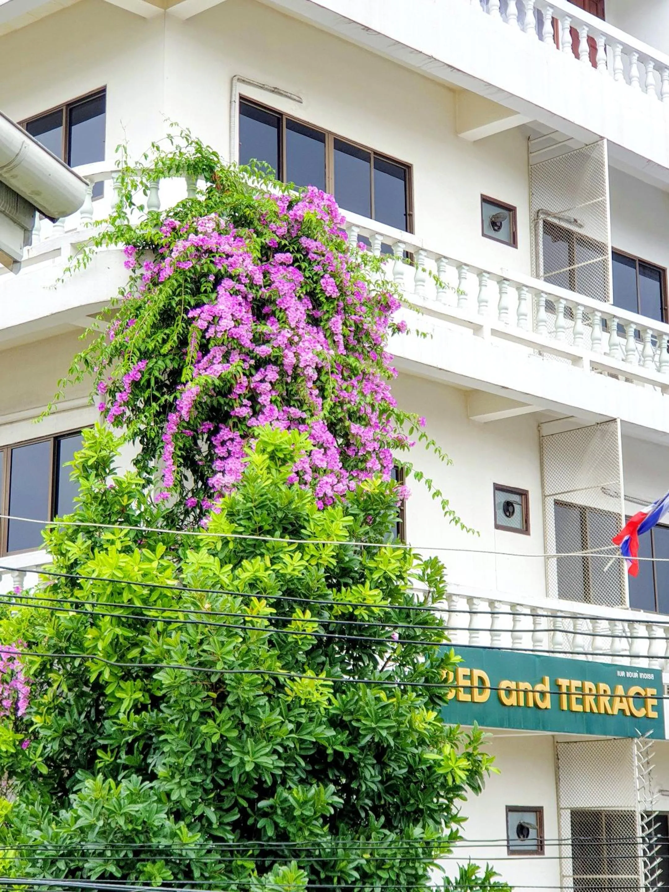 Spring in Bed and Terrace Guesthouse Chiang Mai