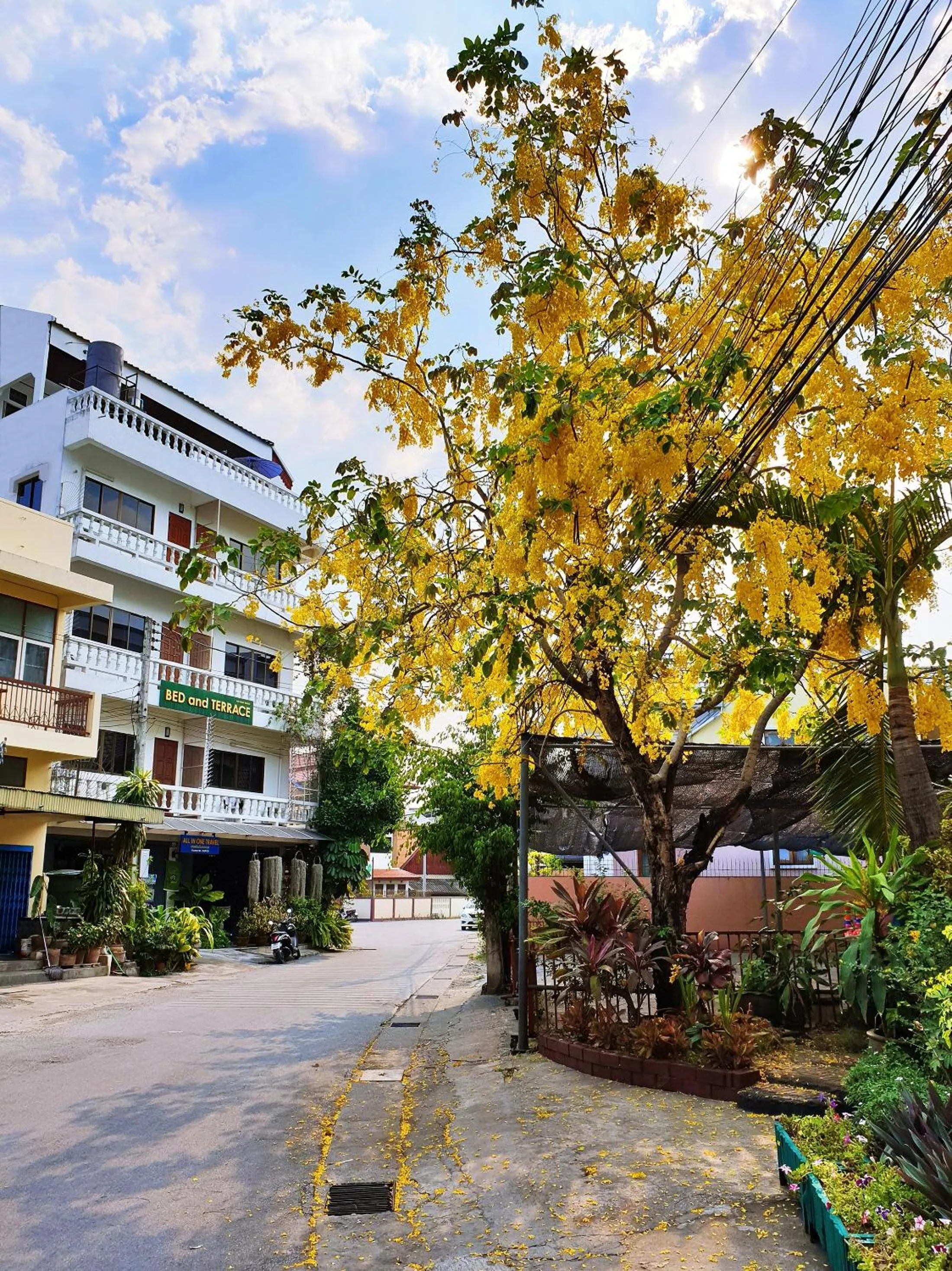 Facade/entrance in Bed and Terrace Guesthouse Chiang Mai