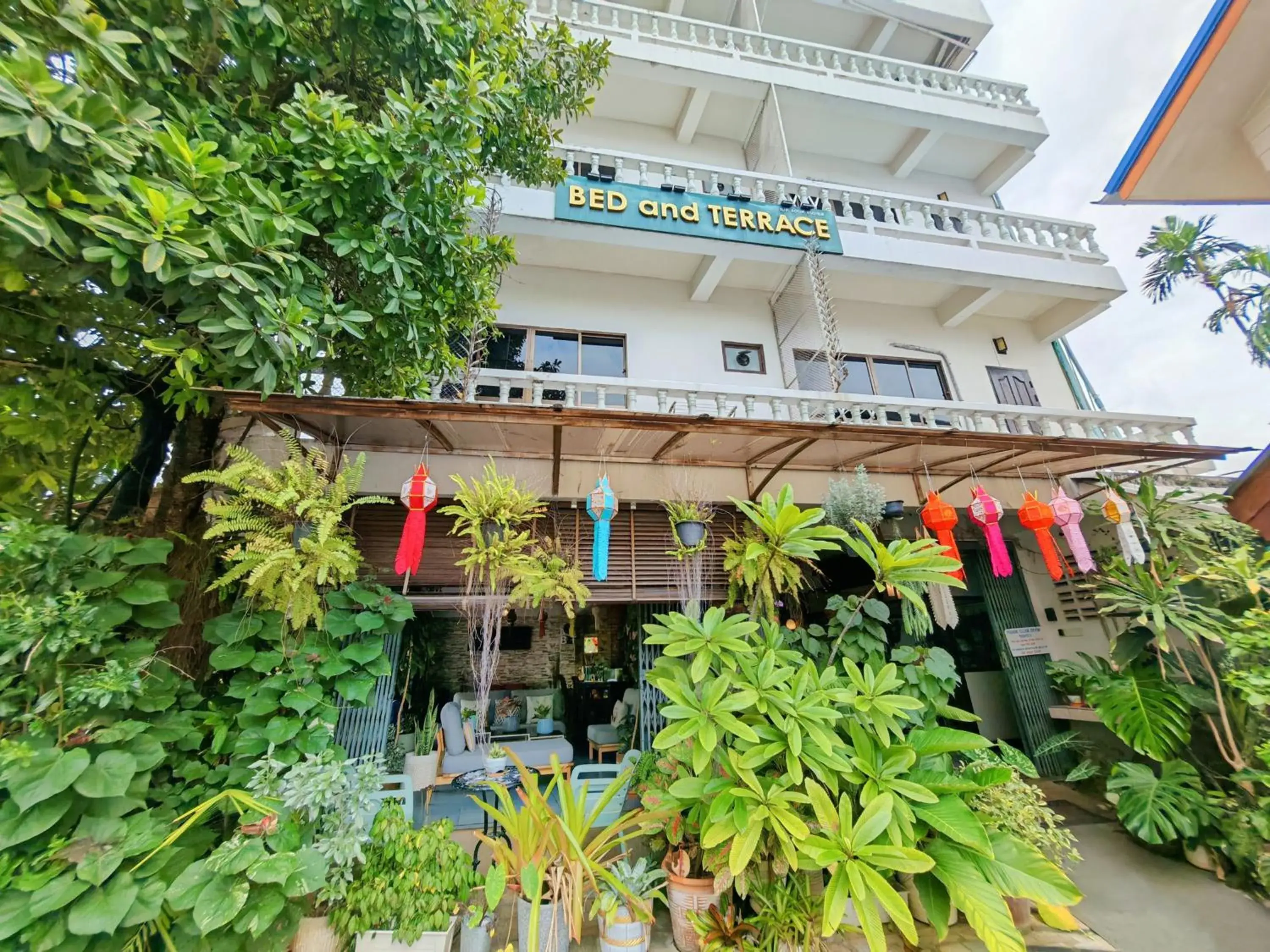 Property building in Bed and Terrace Guesthouse Chiang Mai Property building in Bed and Terrace Guesthouse Chiang Mai