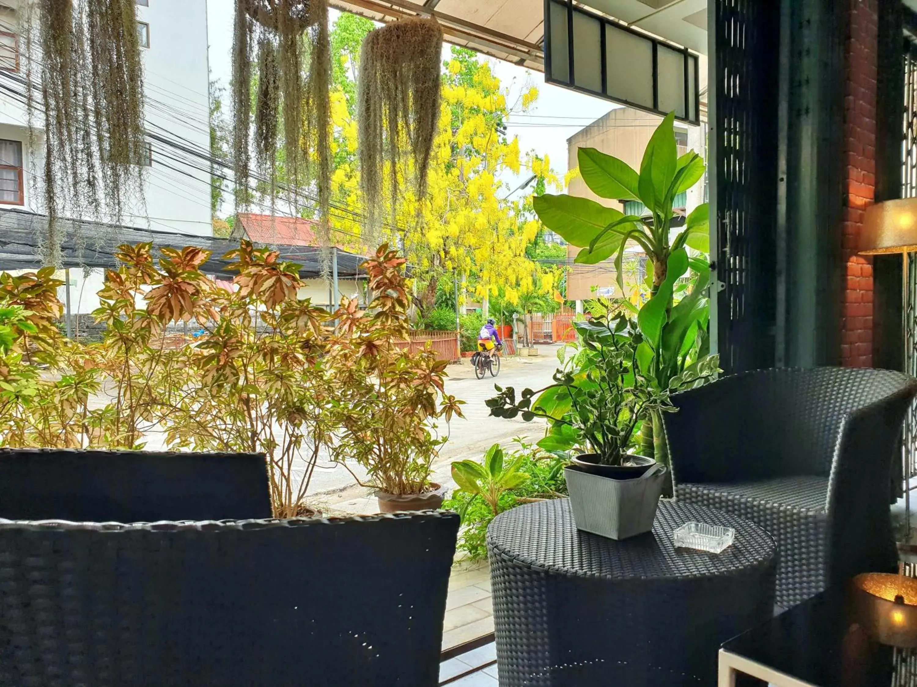 Garden in Bed and Terrace Guesthouse Chiang Mai Garden in Bed and Terrace Guesthouse Chiang Mai