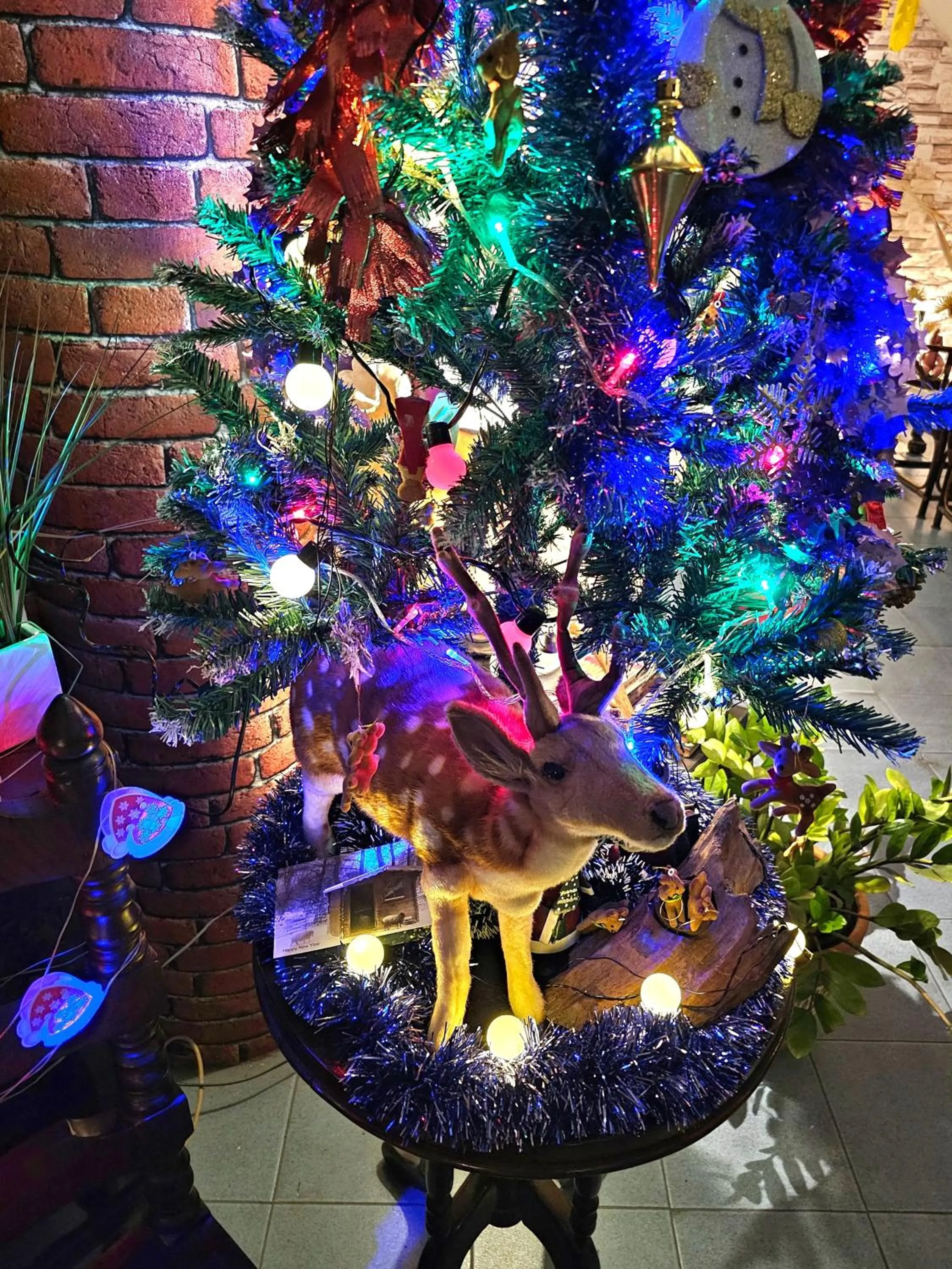 Lobby or reception in Bed and Terrace Guesthouse Chiang Mai