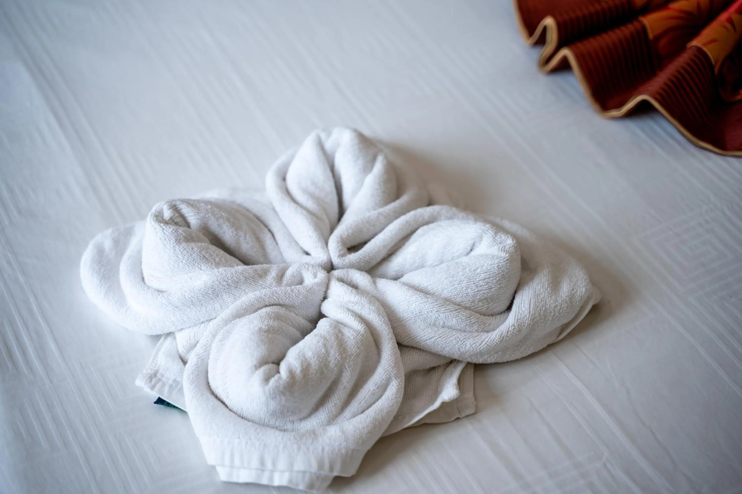 Bed in Salita Hotel Phnom Penh