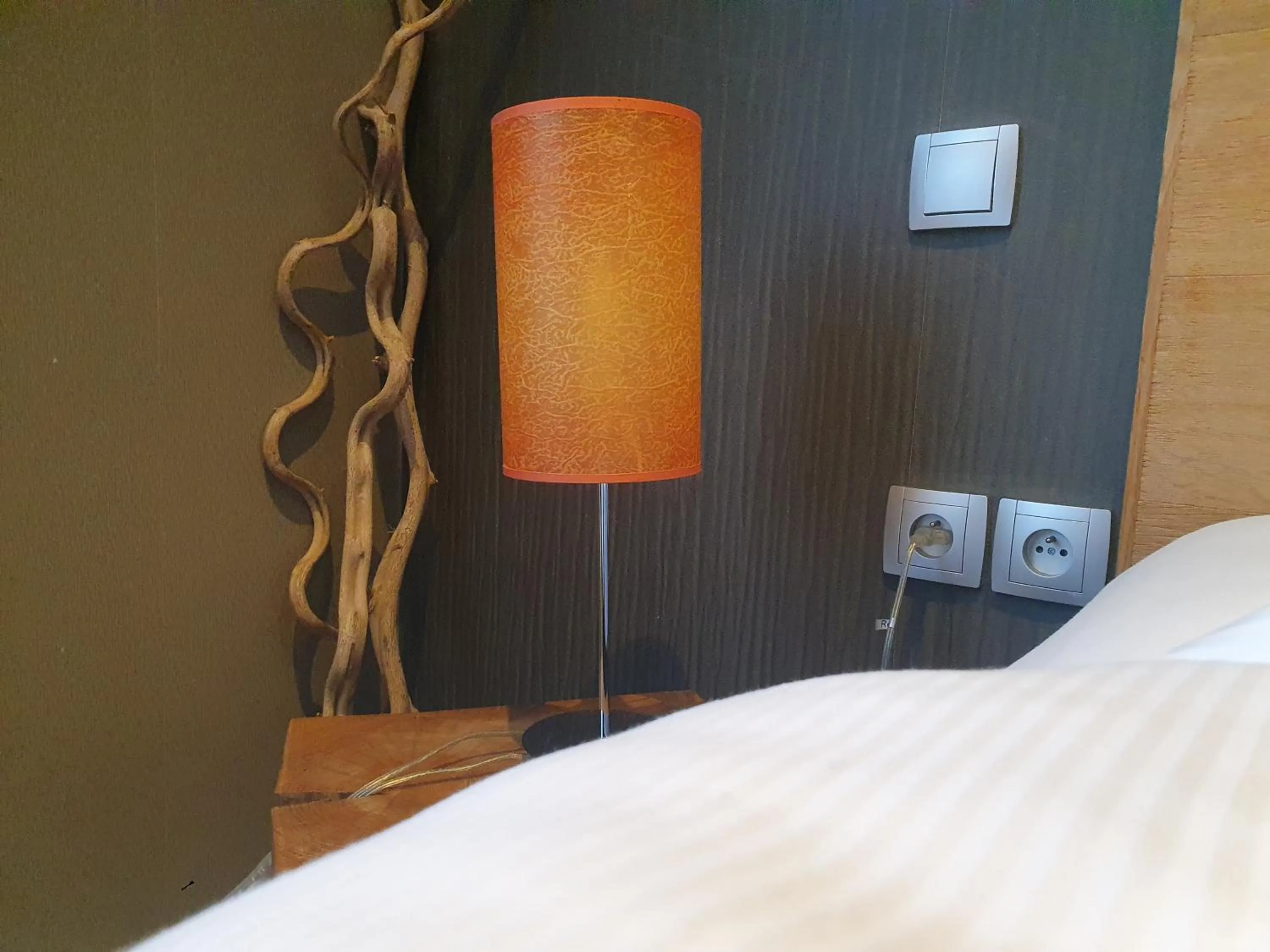 Bed in Villa Les Bains