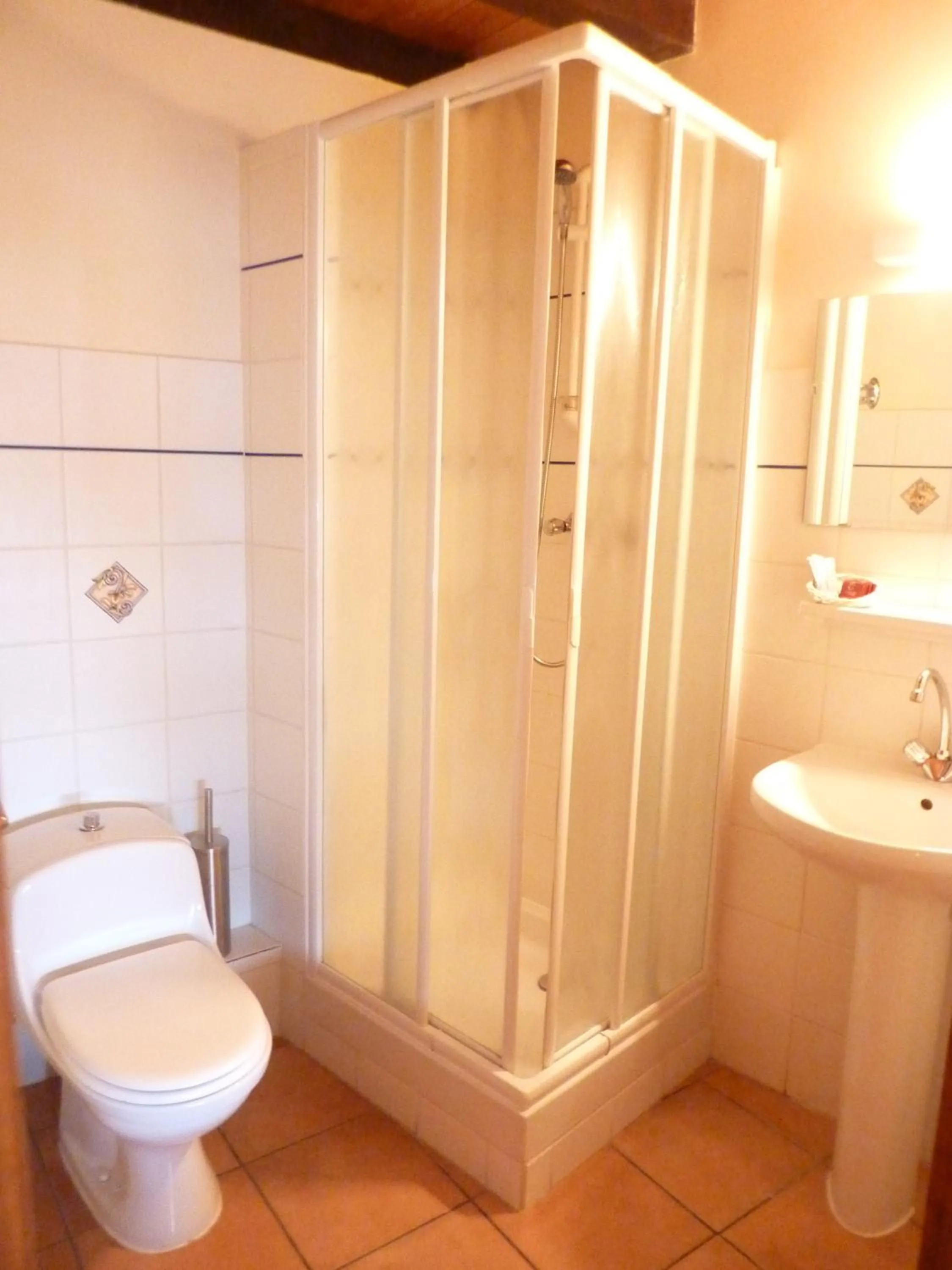 Shower in Hotels Les Catrems & Le Montagnou