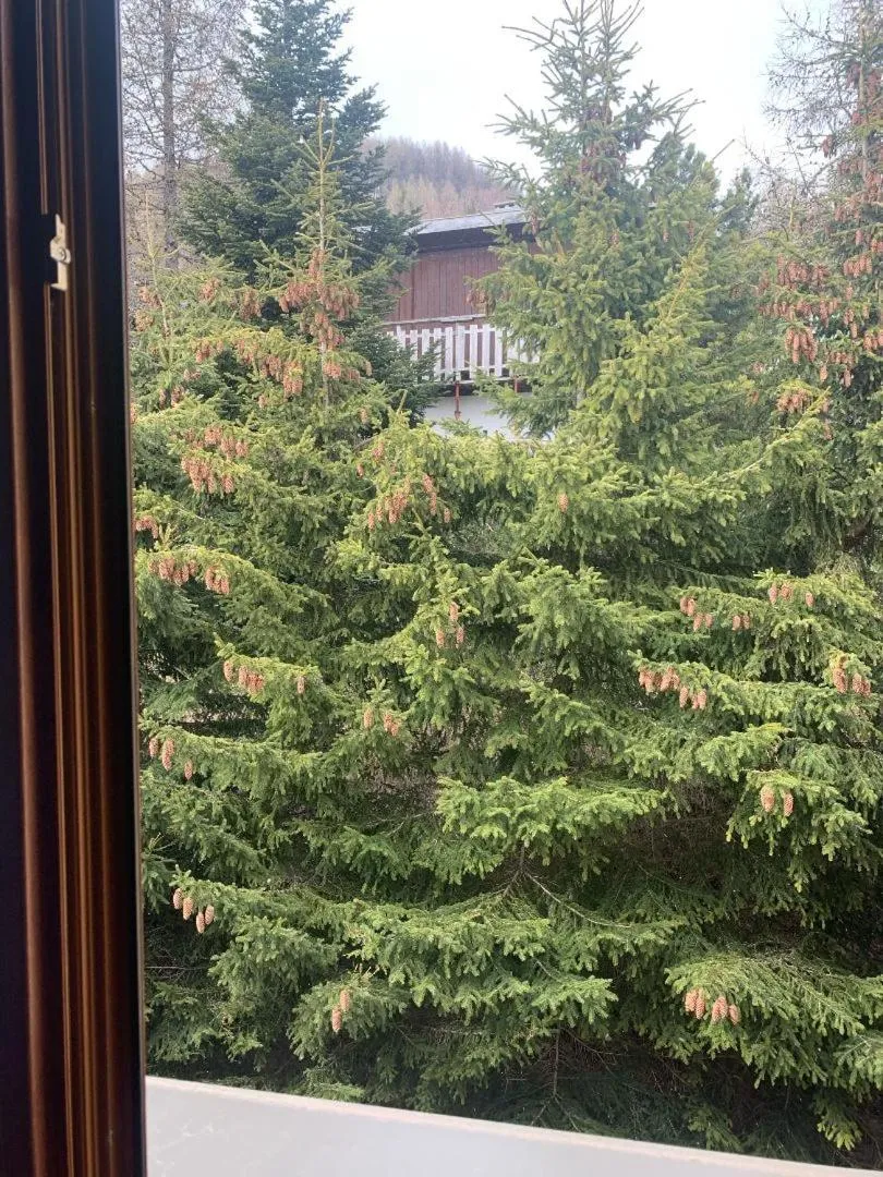 View (from property/room) in Hotels Les Catrems & Le Montagnou