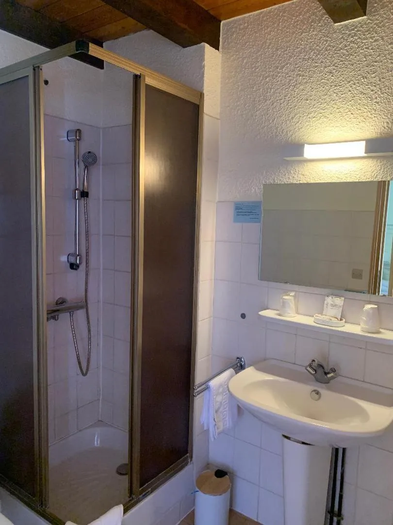 Shower in Hotels Les Catrems & Le Montagnou