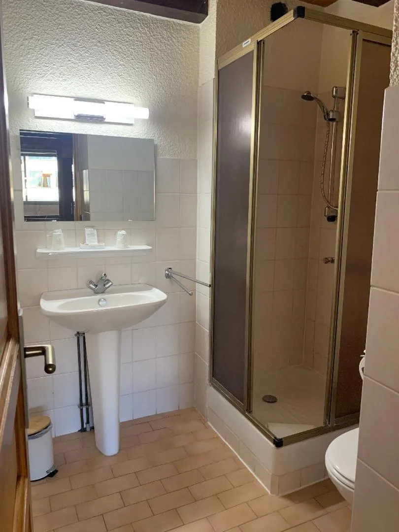 Shower in Hotels Les Catrems & Le Montagnou