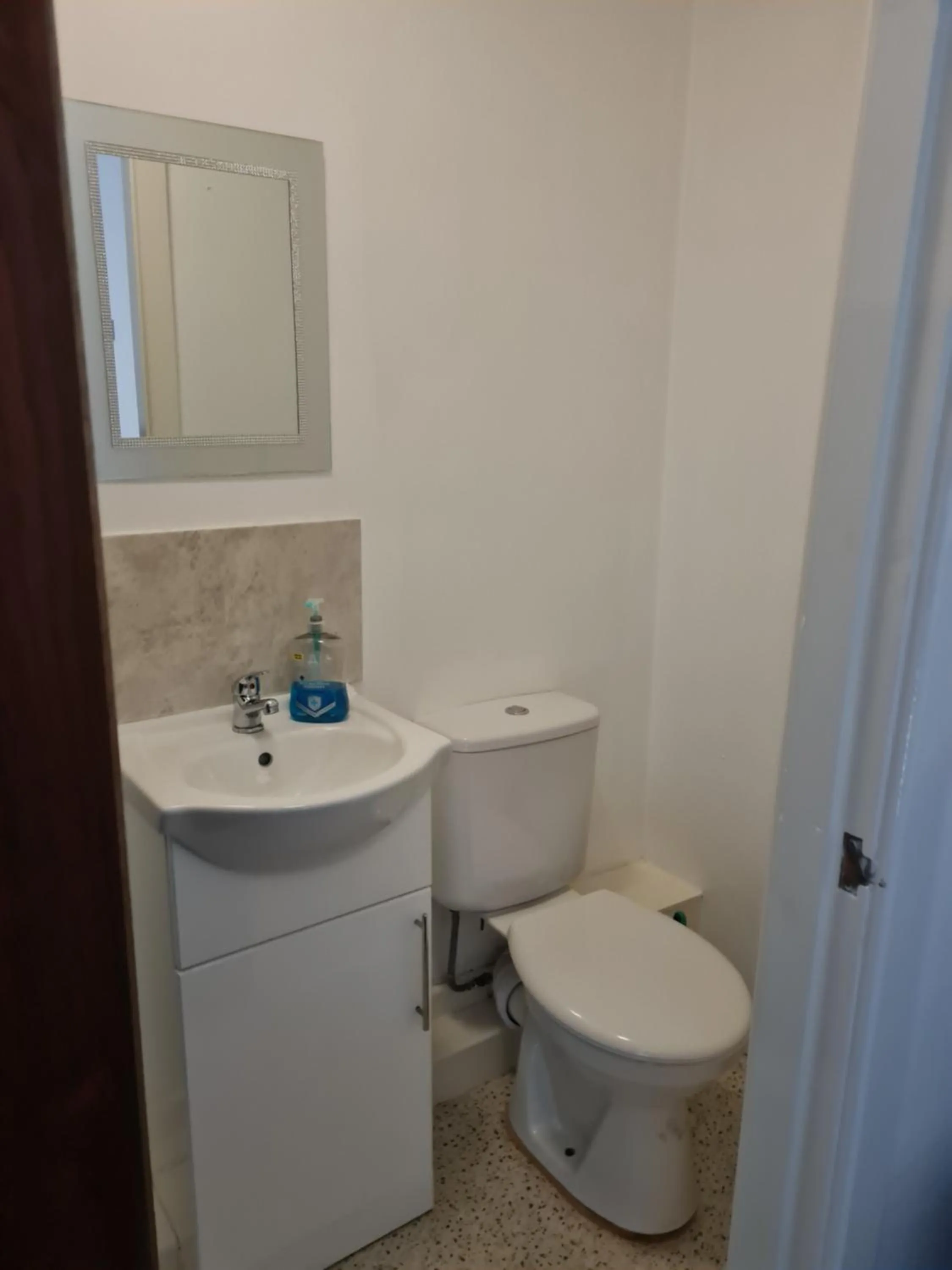 Toilet in The Last Post