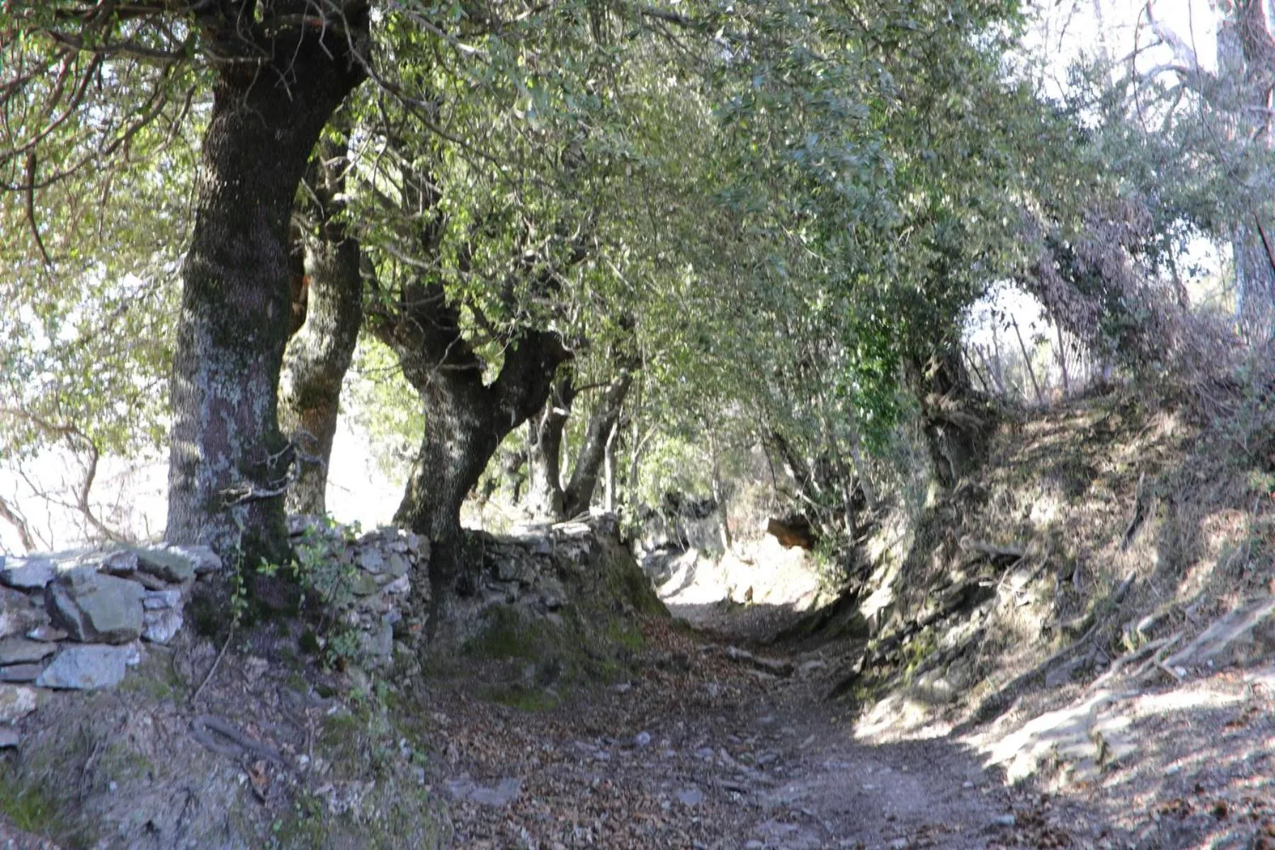 Natural landscape in Casa Di Lucia Mi-Hotel