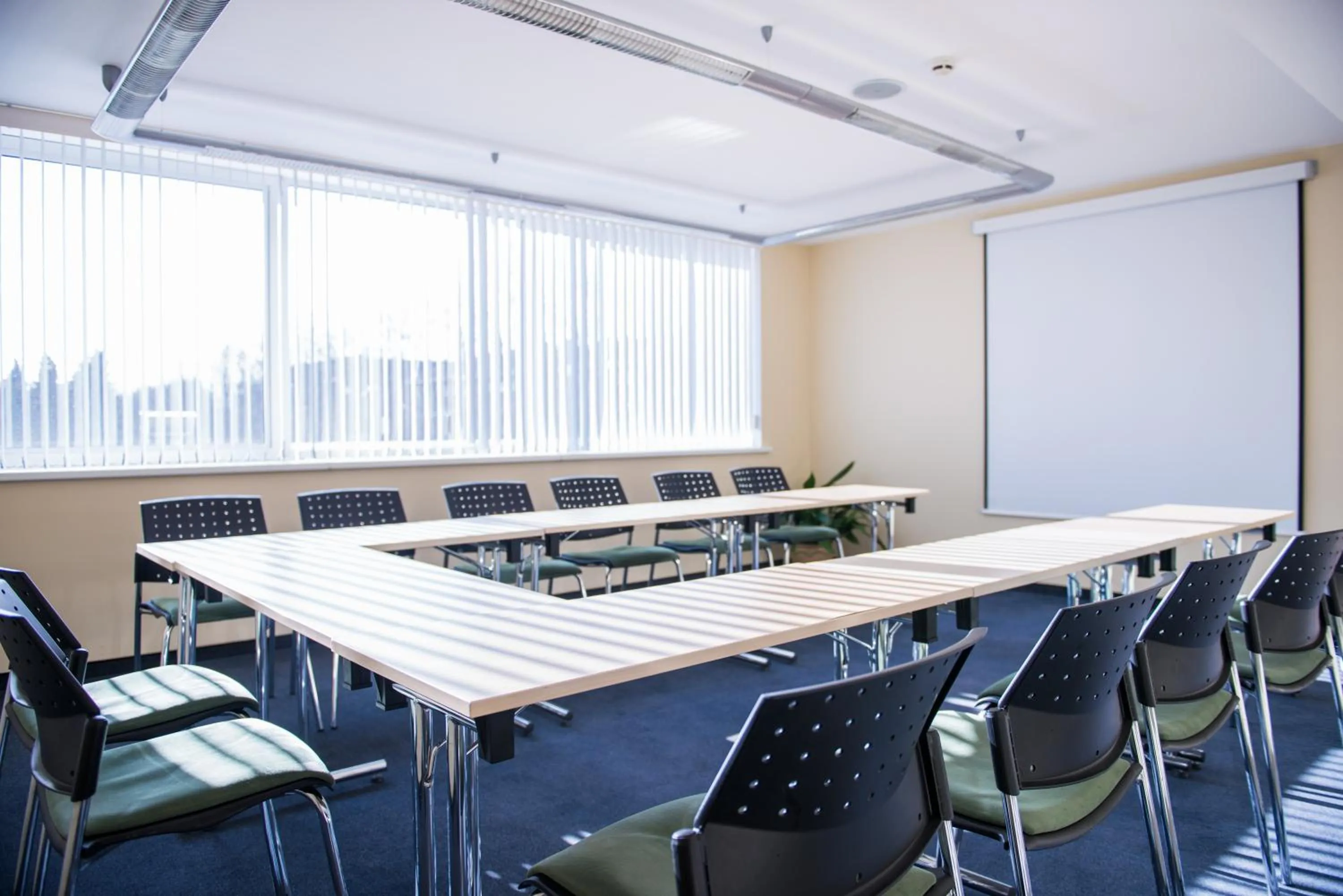 Business facilities in Park Hotel Latgola