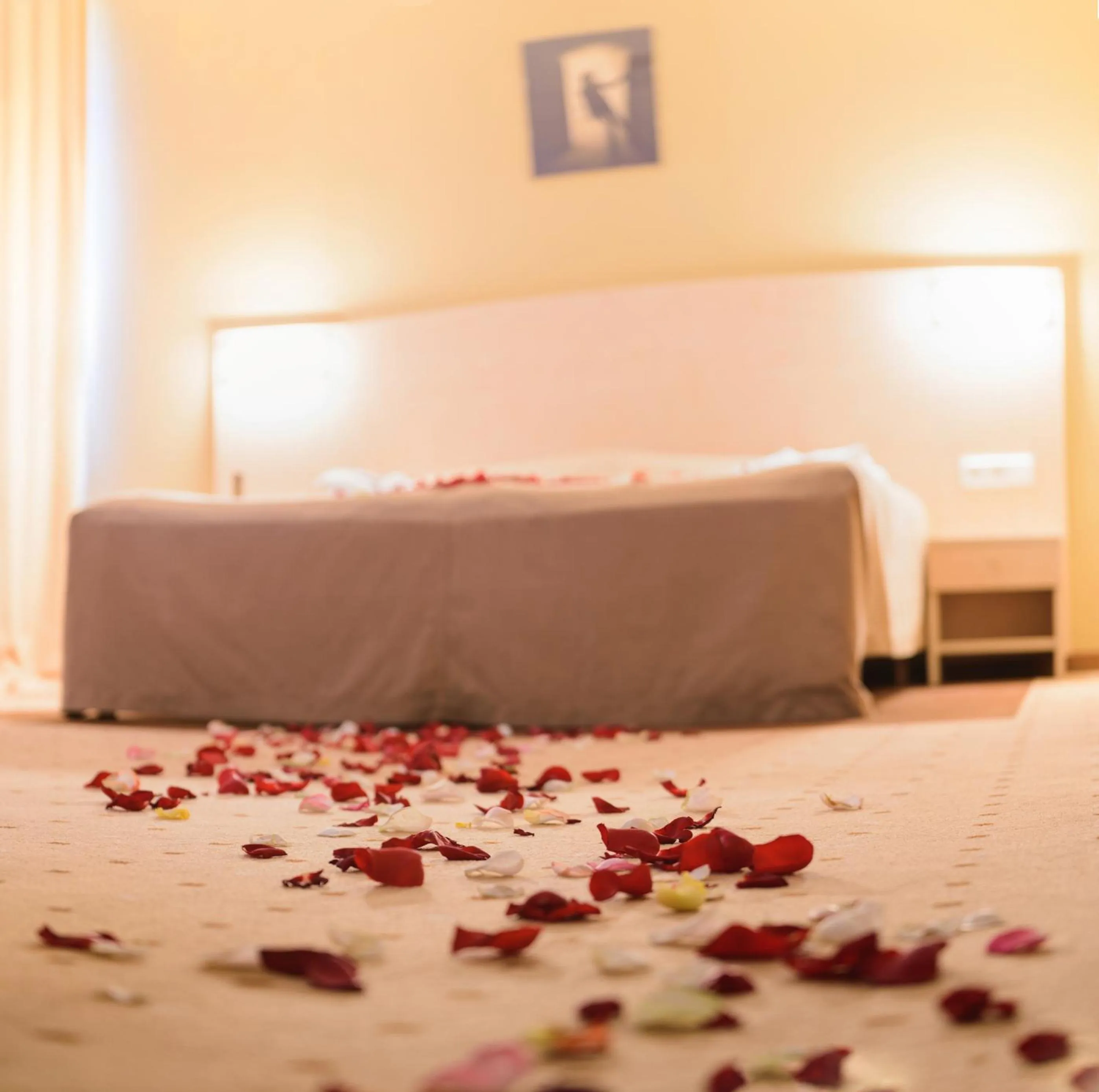 Bed in Park Hotel Latgola