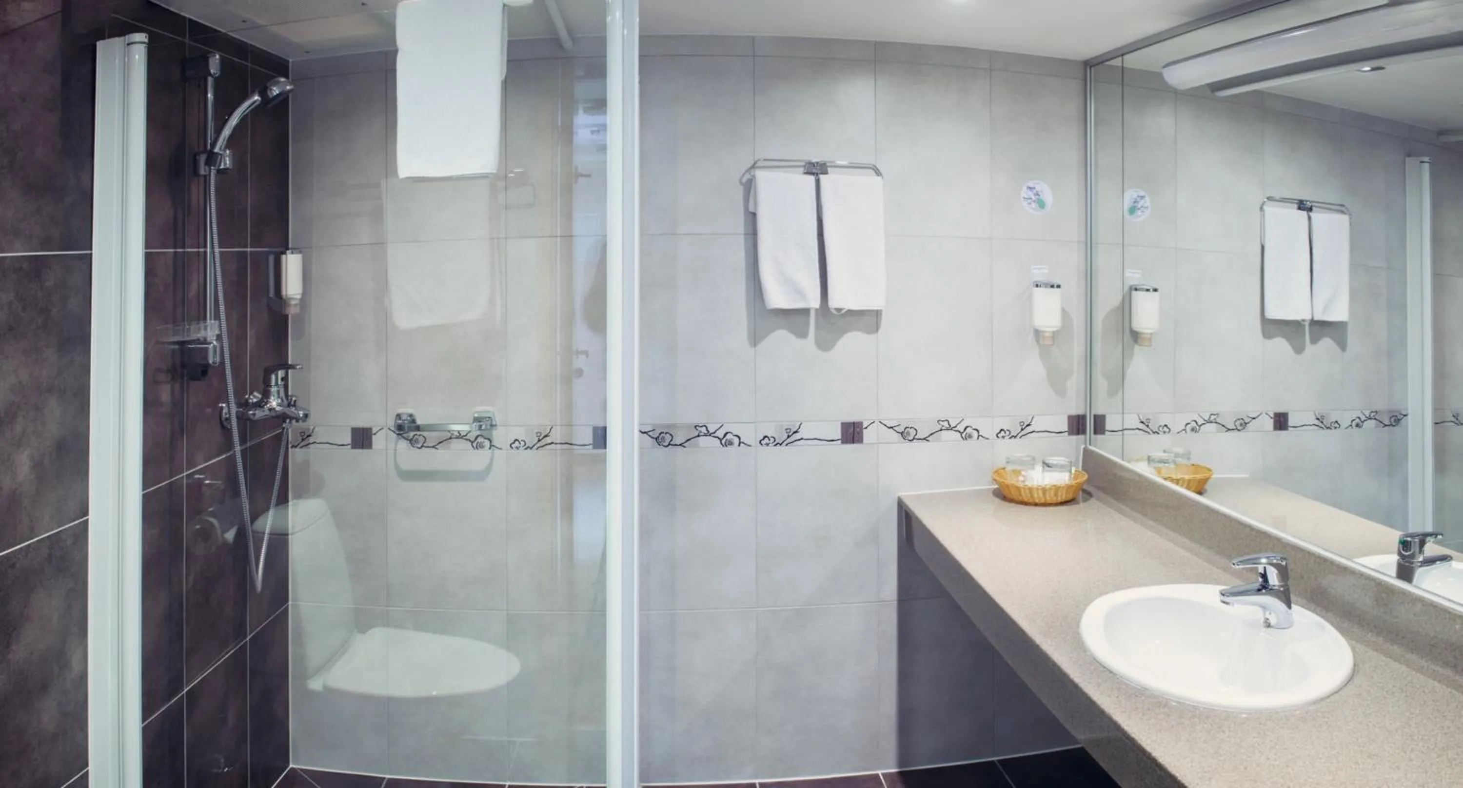 Shower in Park Hotel Latgola