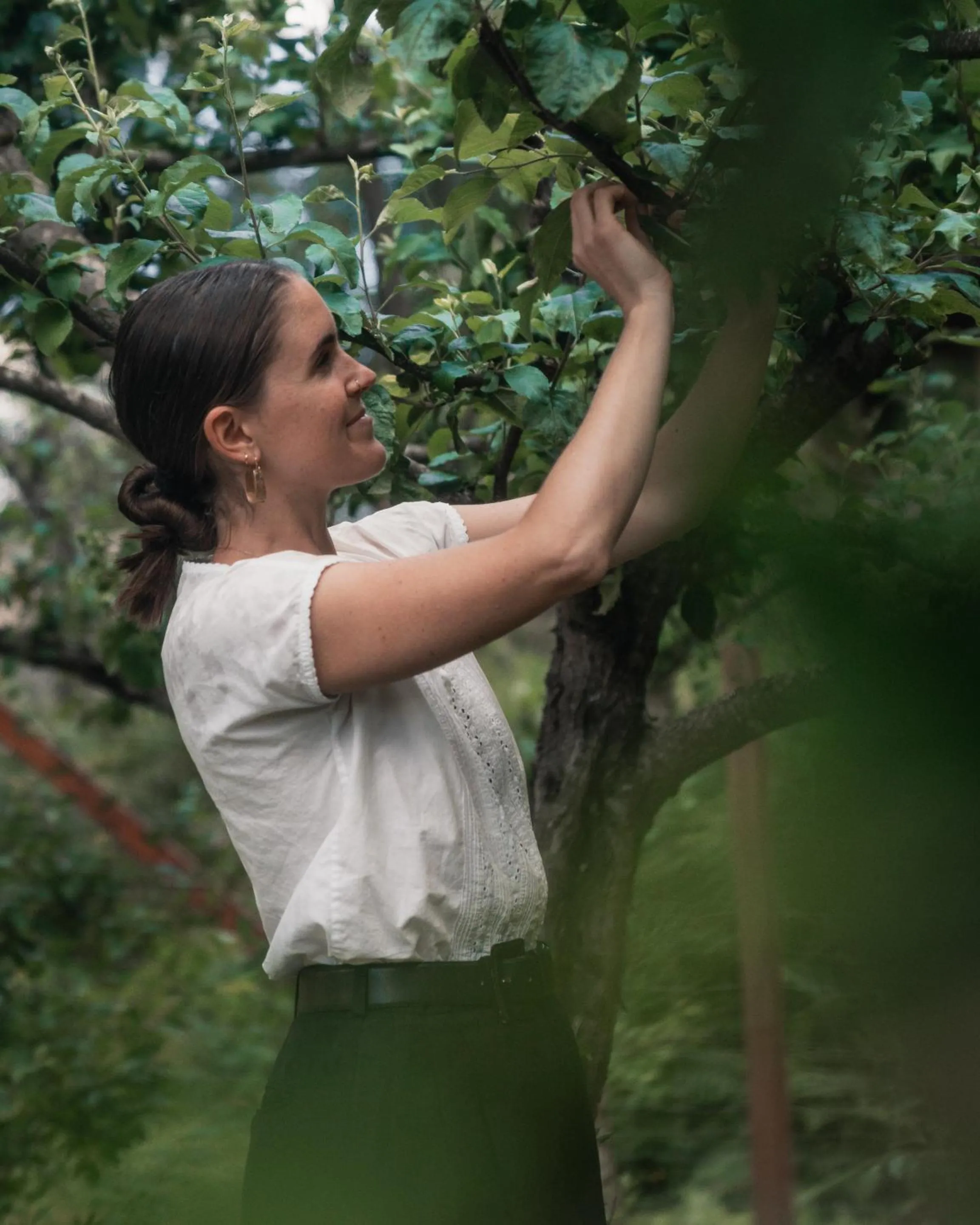 Activities in The Sentinel