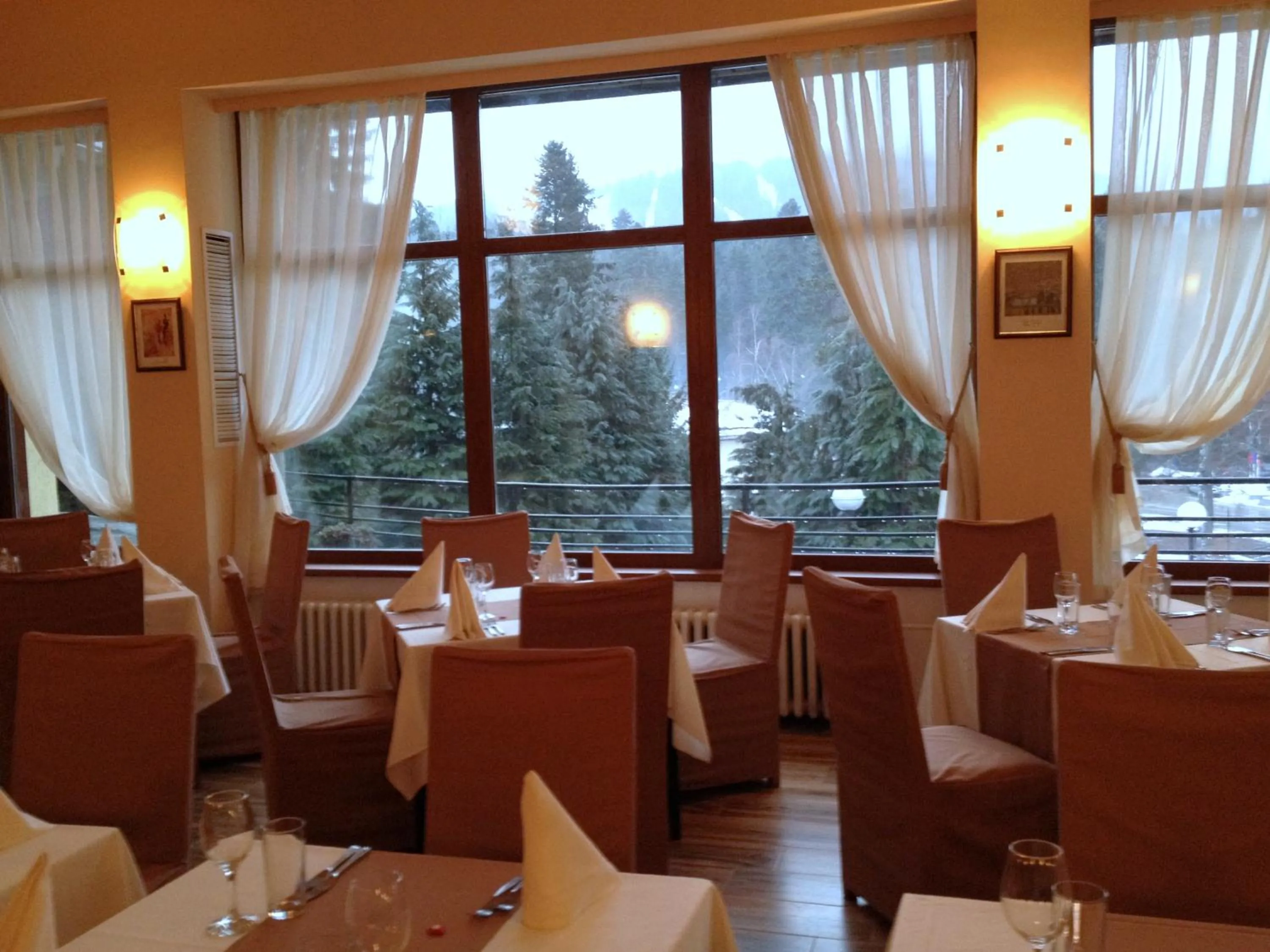 Restaurant/places to eat in Hotel Bor
