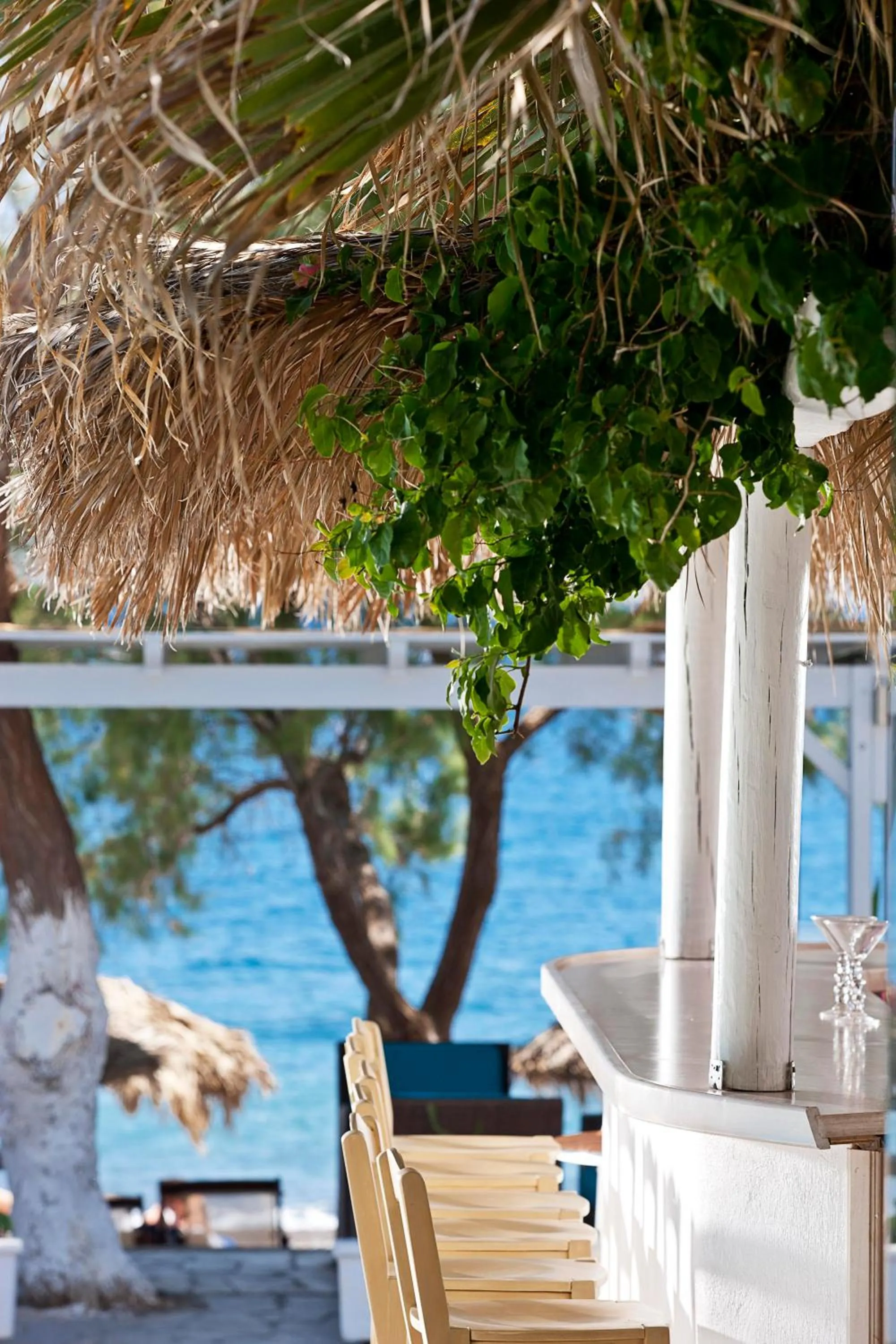 Lounge or bar in Alesahne Beach Hotel