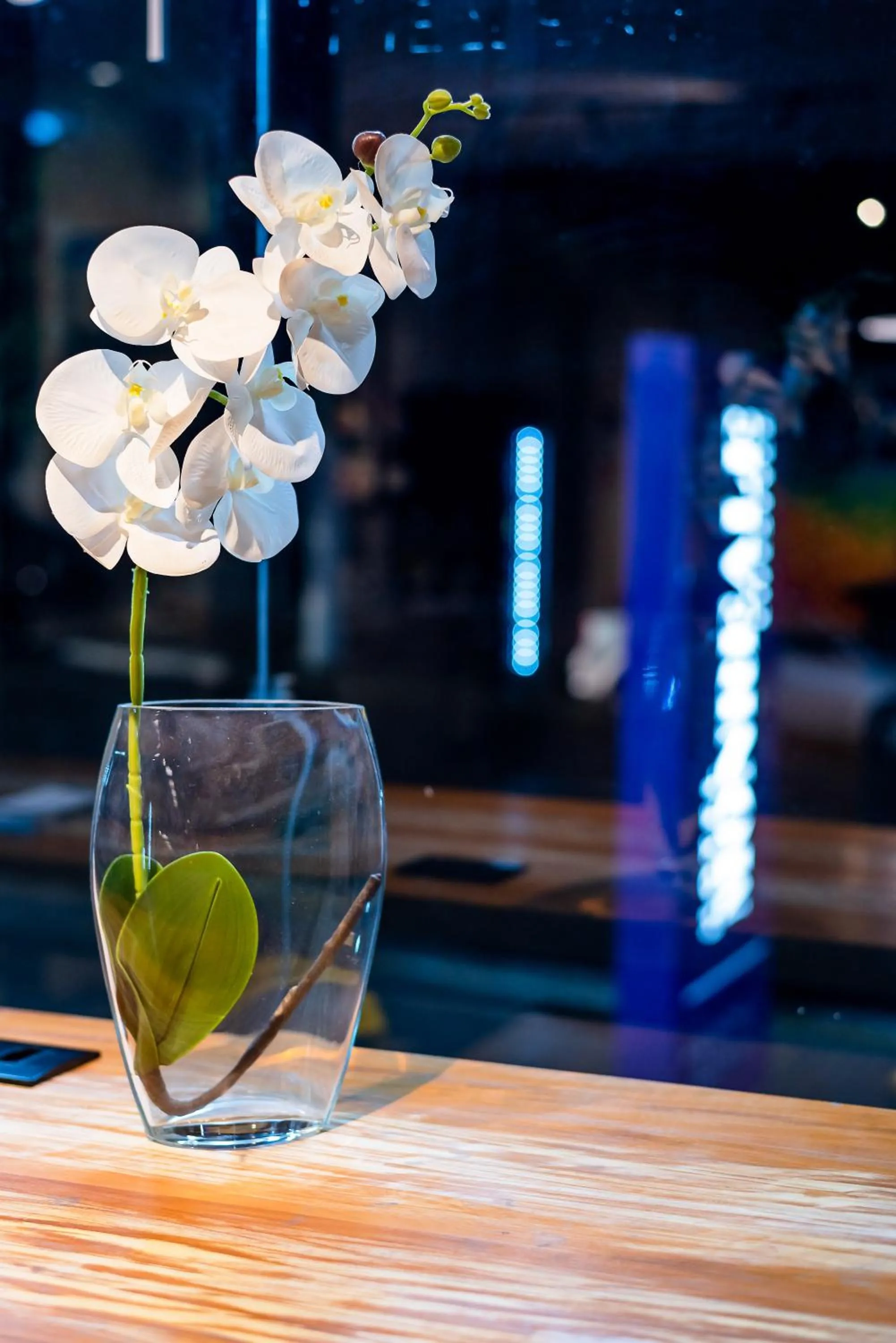 Lobby or reception in Monreale Lifestyle Higienópolis São Paulo