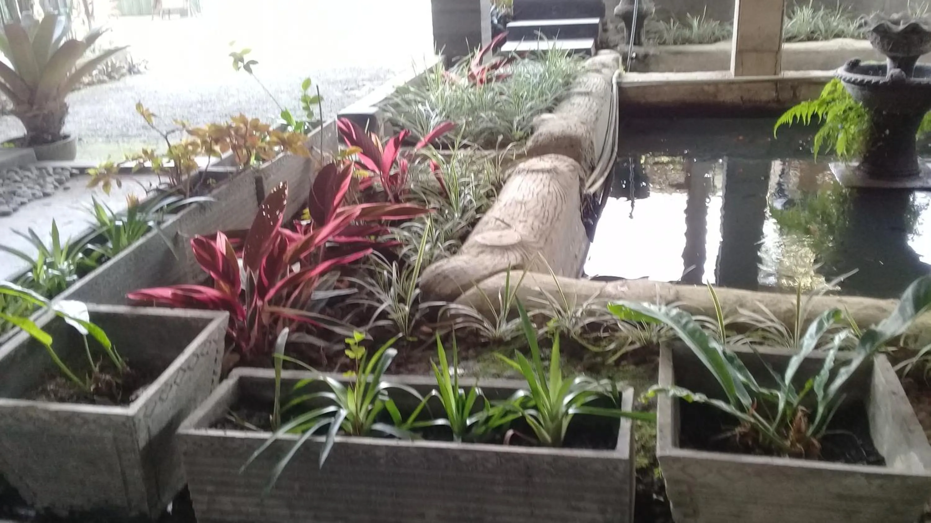 View (from property/room) in RF Hotel