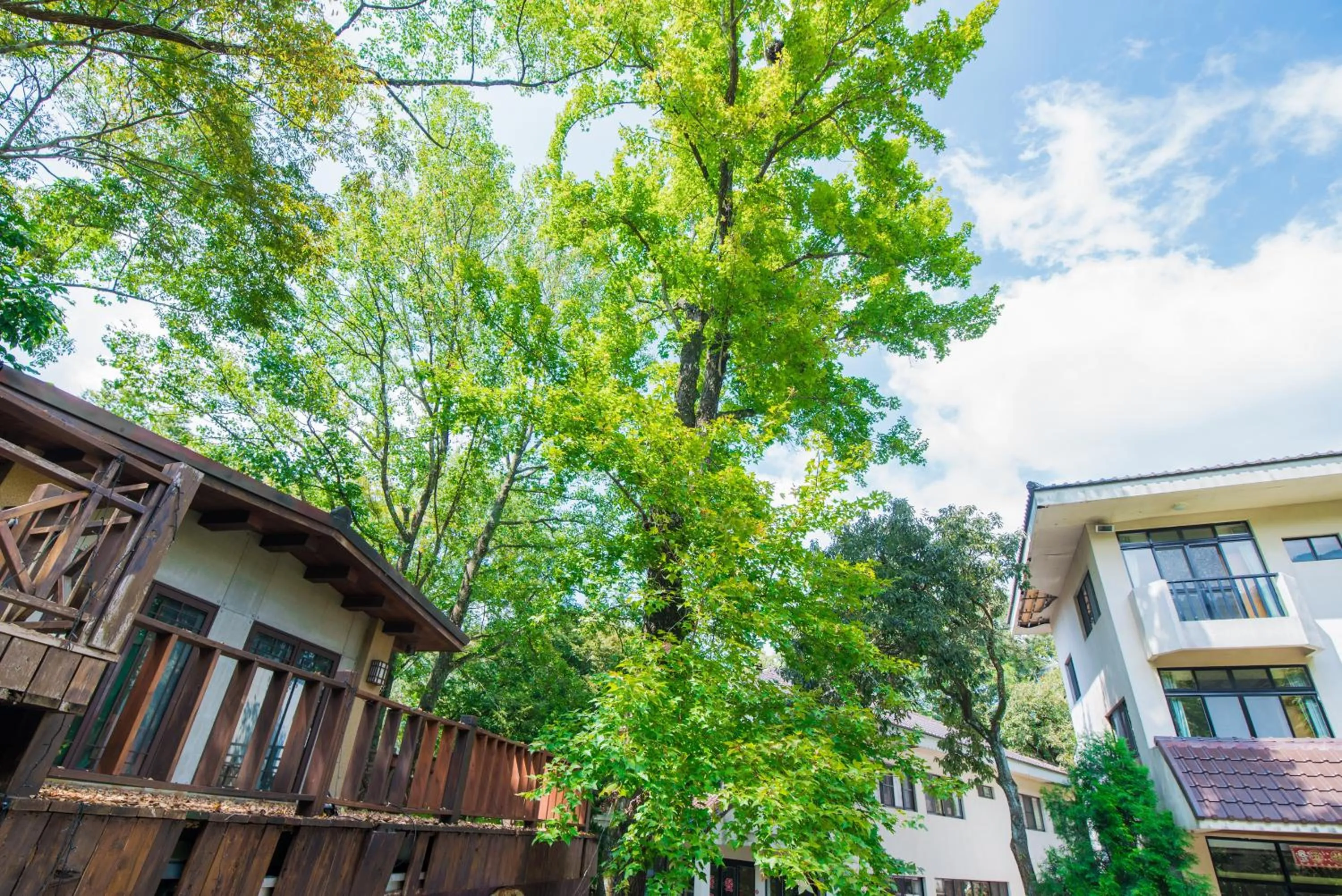 Day in Hu Shan Hot Spring Hotel