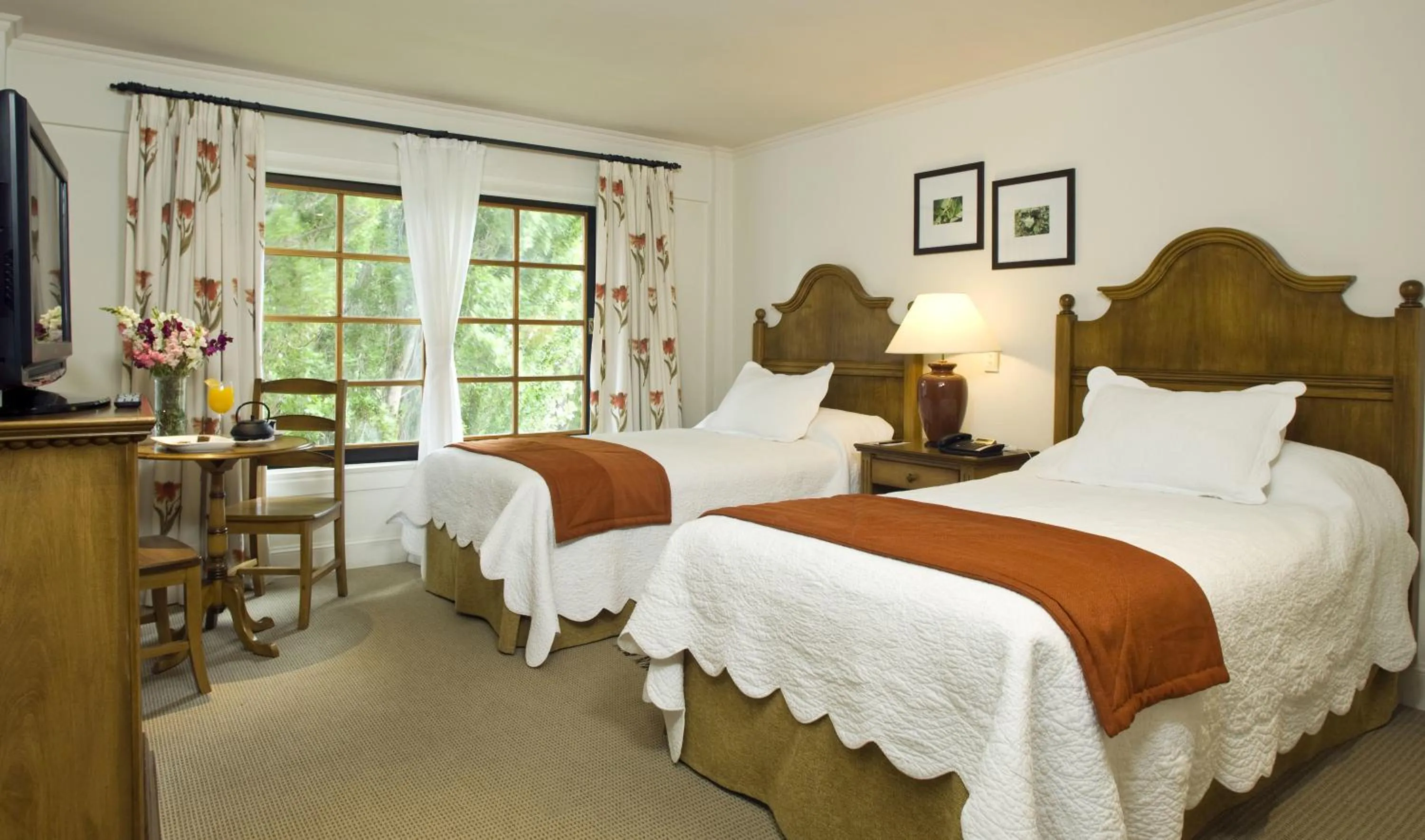 View (from property/room), Bed in Hotel Posada Los Alamos