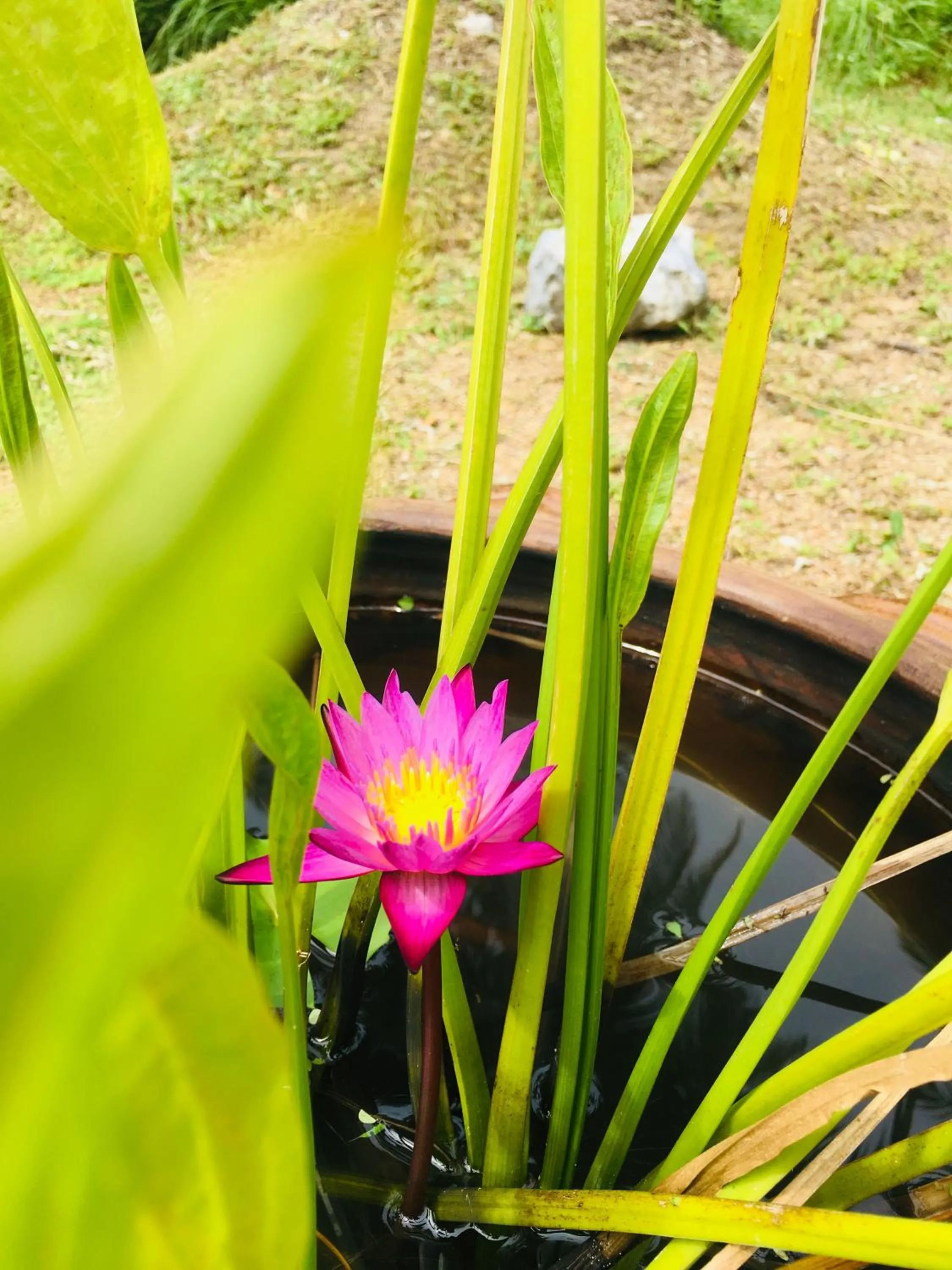 Khao Lak Golden Coconut Resort