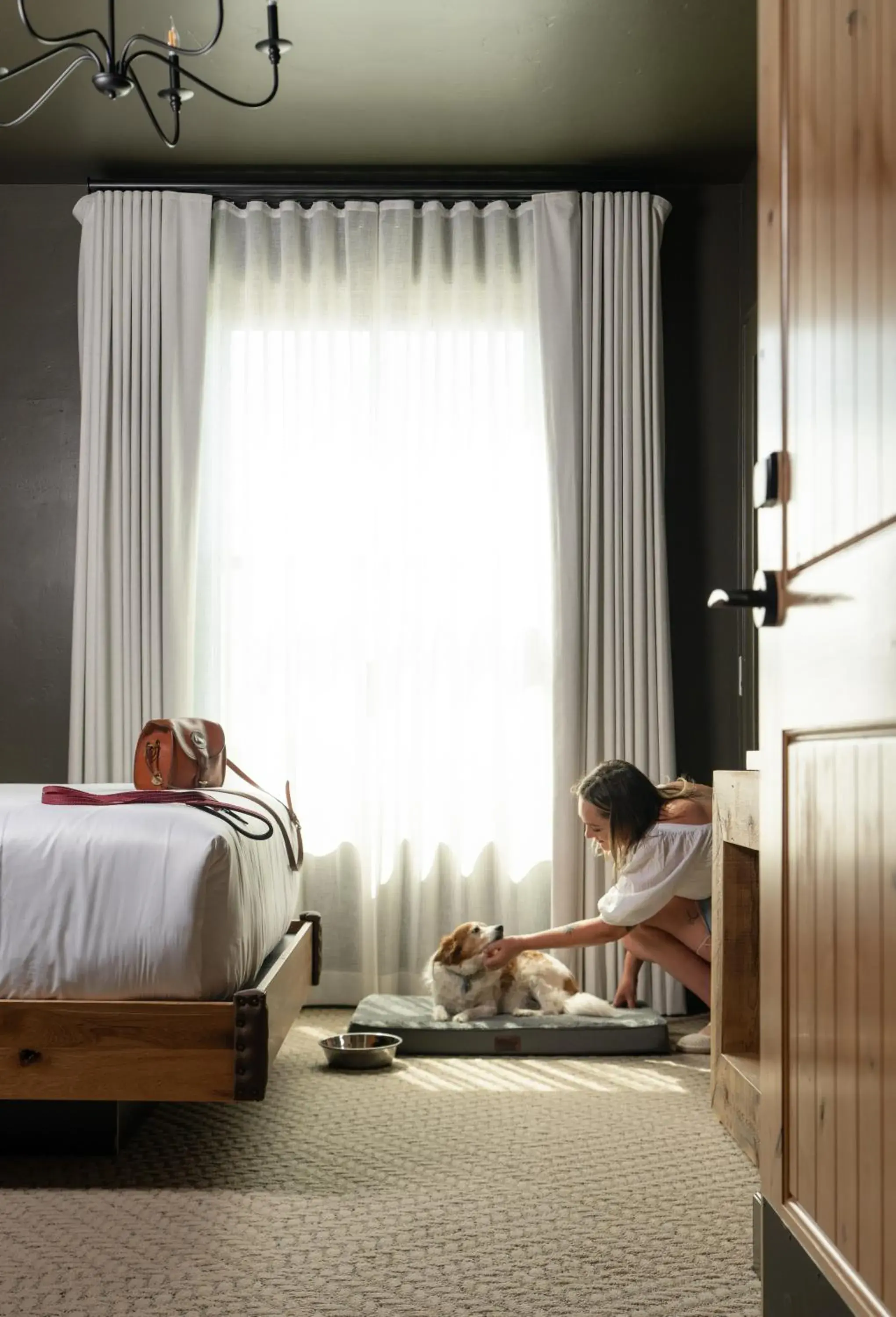 Pets, Bed in Hotel Santa Barbara Pets, Bed in Hotel Santa Barbara