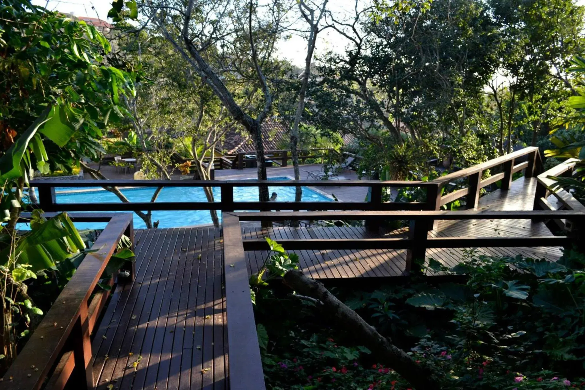 Pool view in Hotel La Forêt & Beach Lounge Pool view in Hotel La Forêt & Beach Lounge