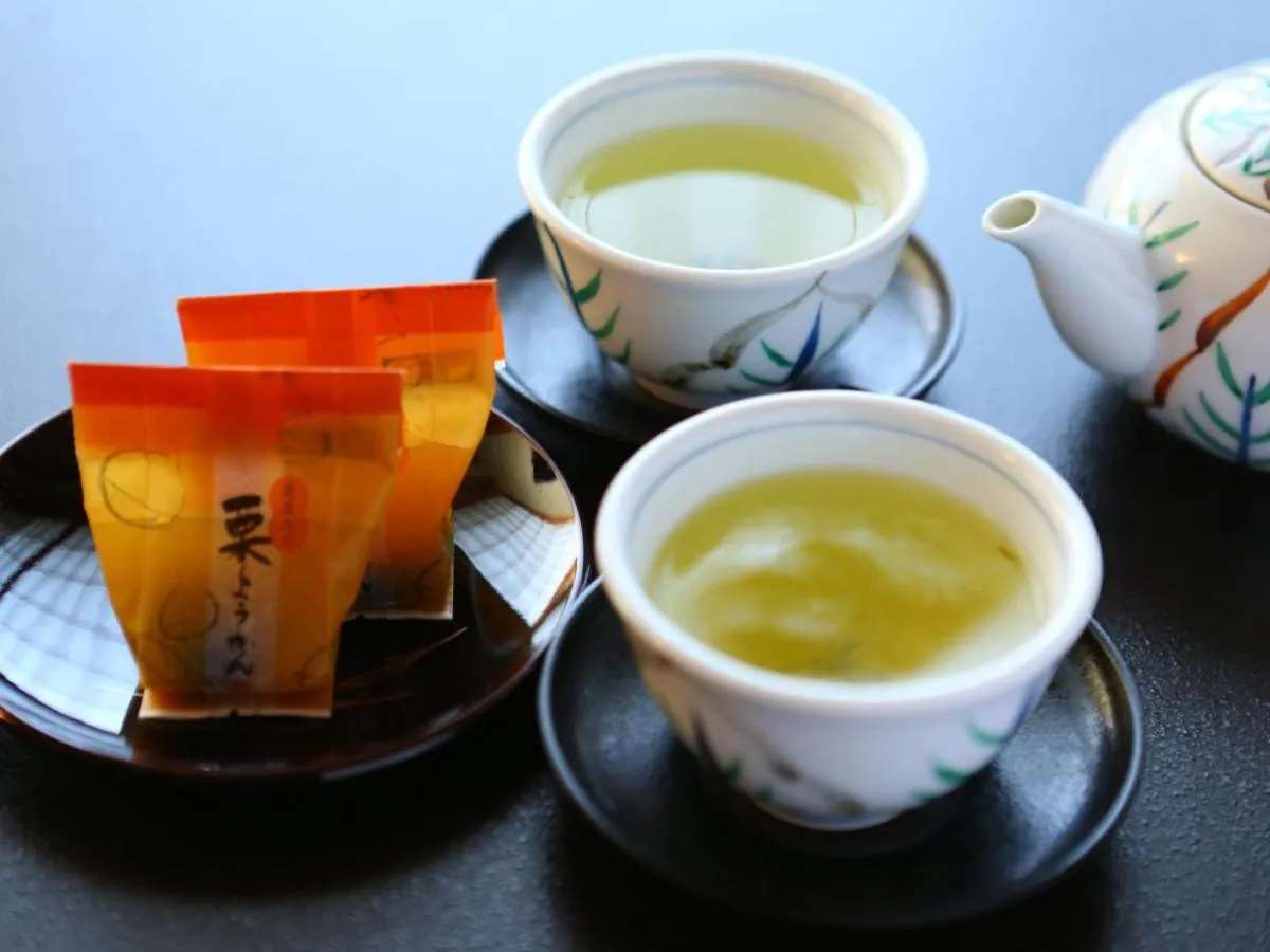 Living room in Club Wyndham Chikumakan Nagano