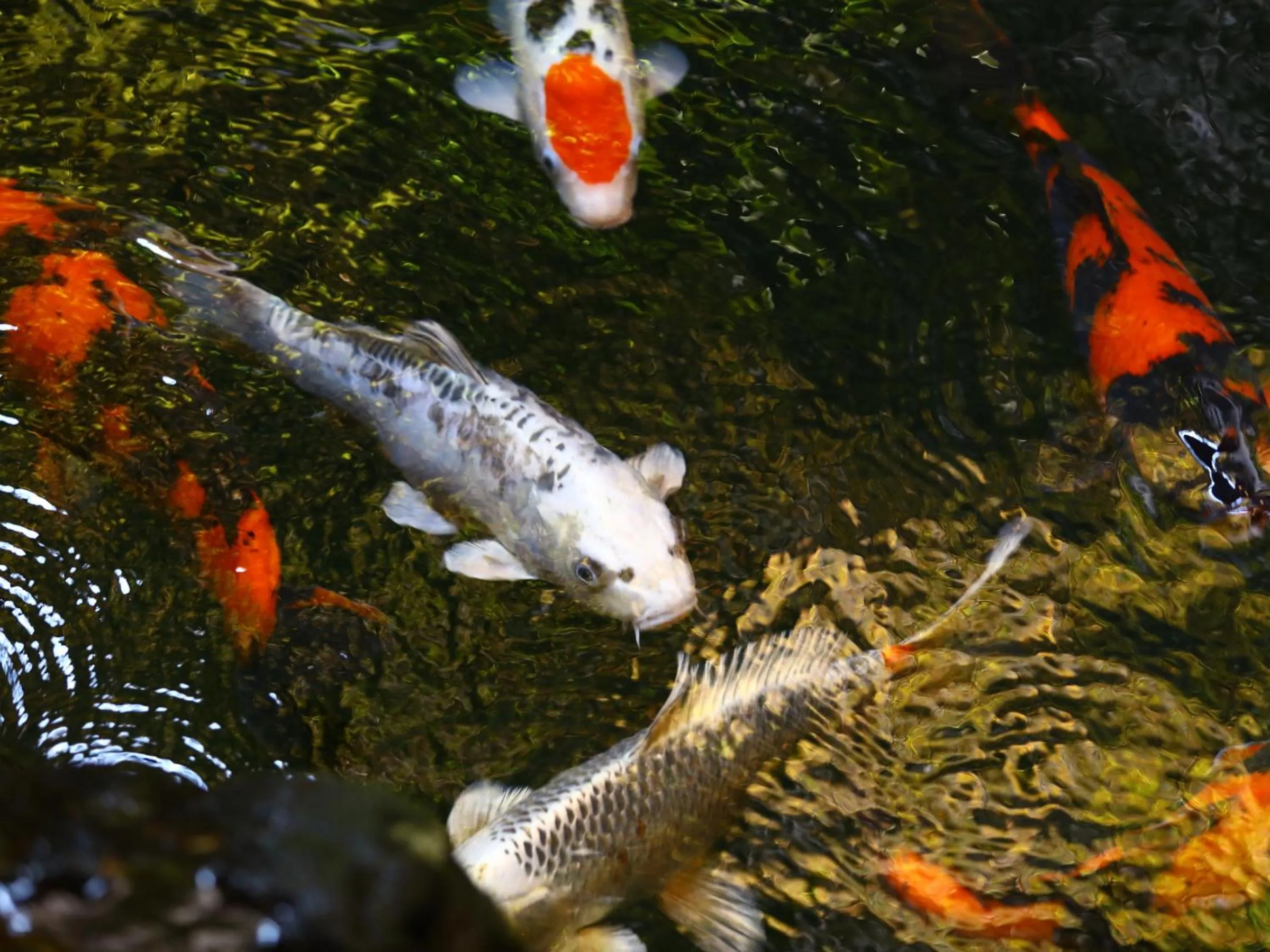Facade/entrance in Club Wyndham Chikumakan Nagano