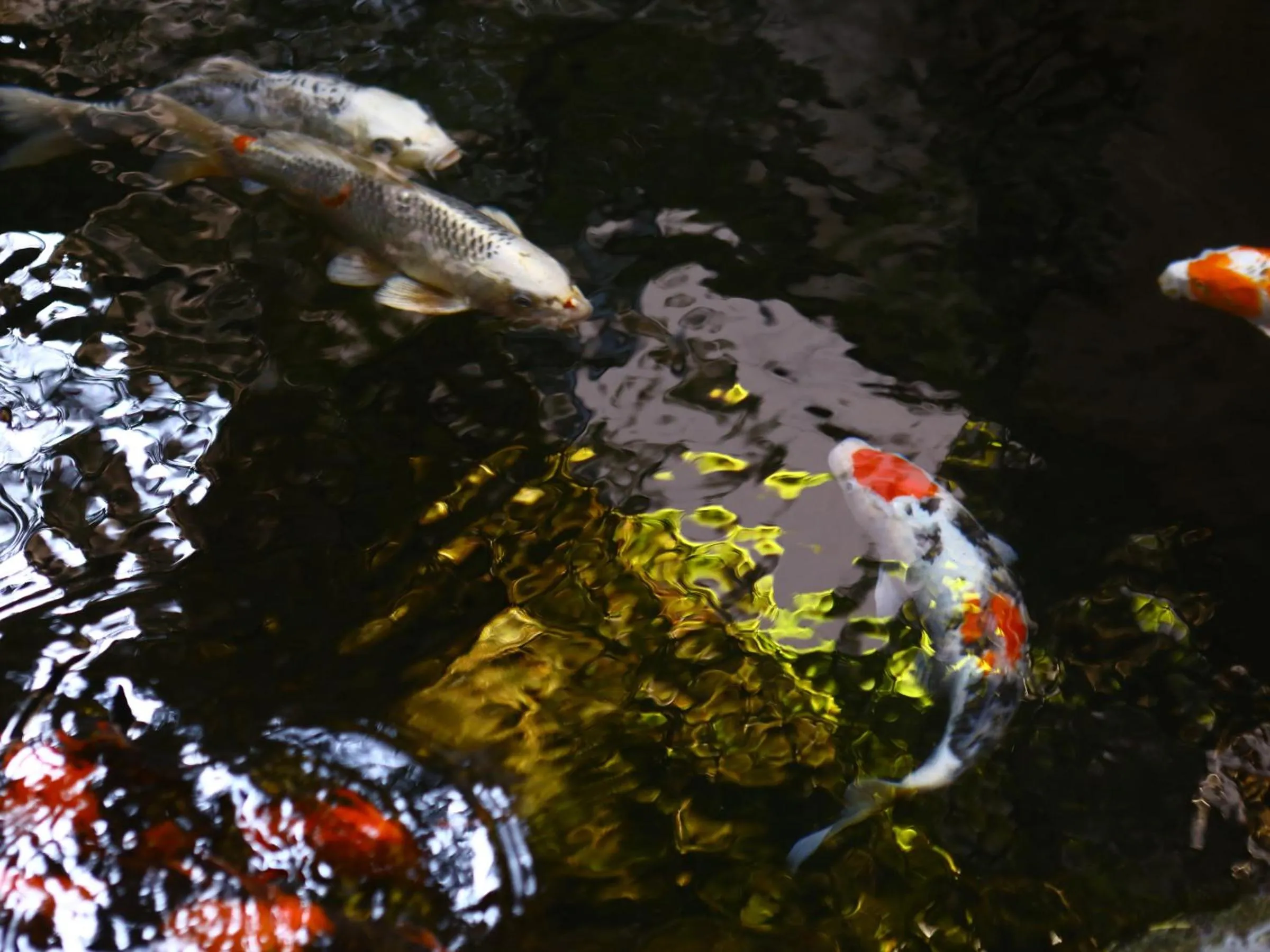 Facade/entrance in Club Wyndham Chikumakan Nagano