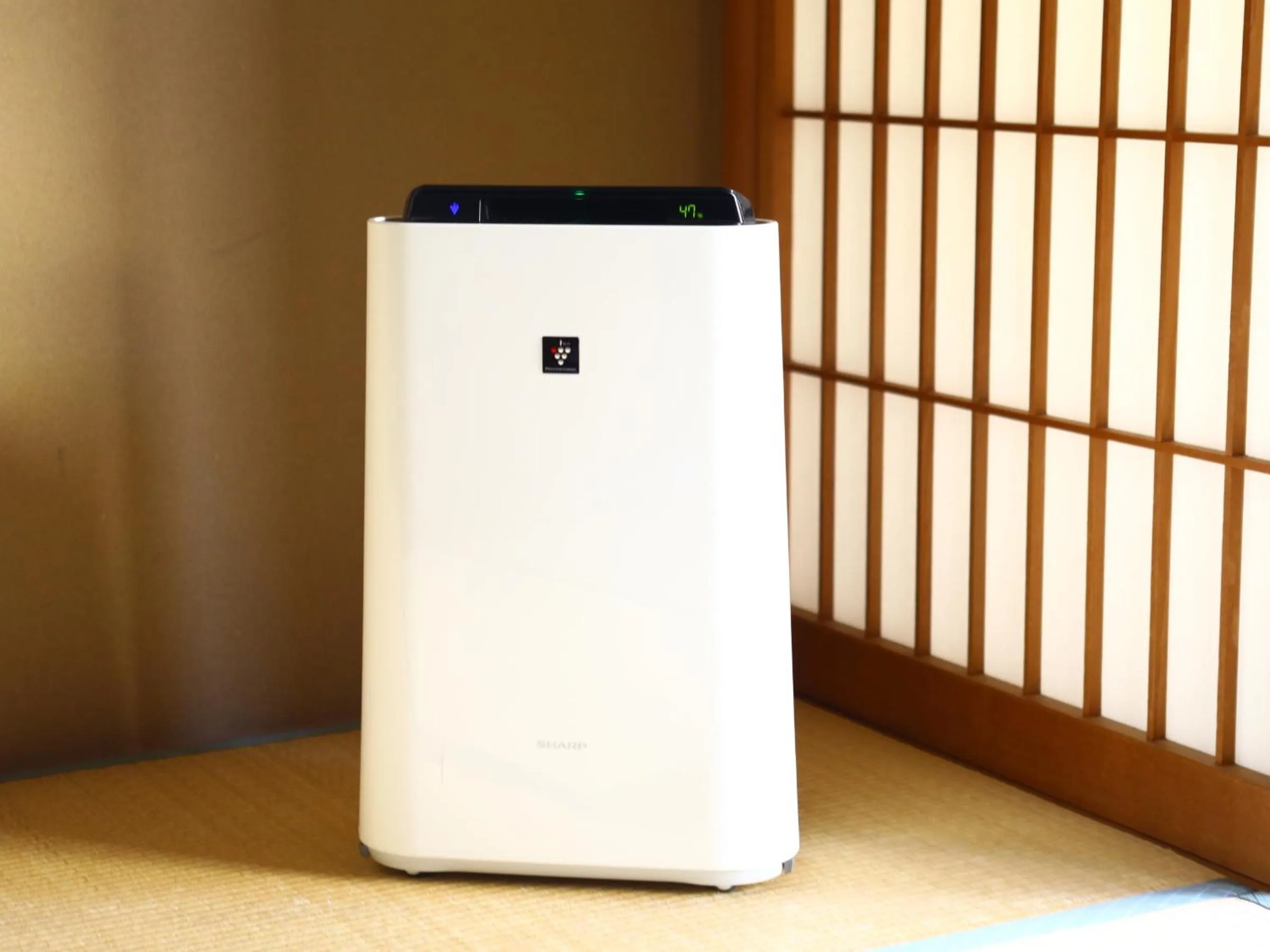 Photo of the whole room in Club Wyndham Chikumakan Nagano