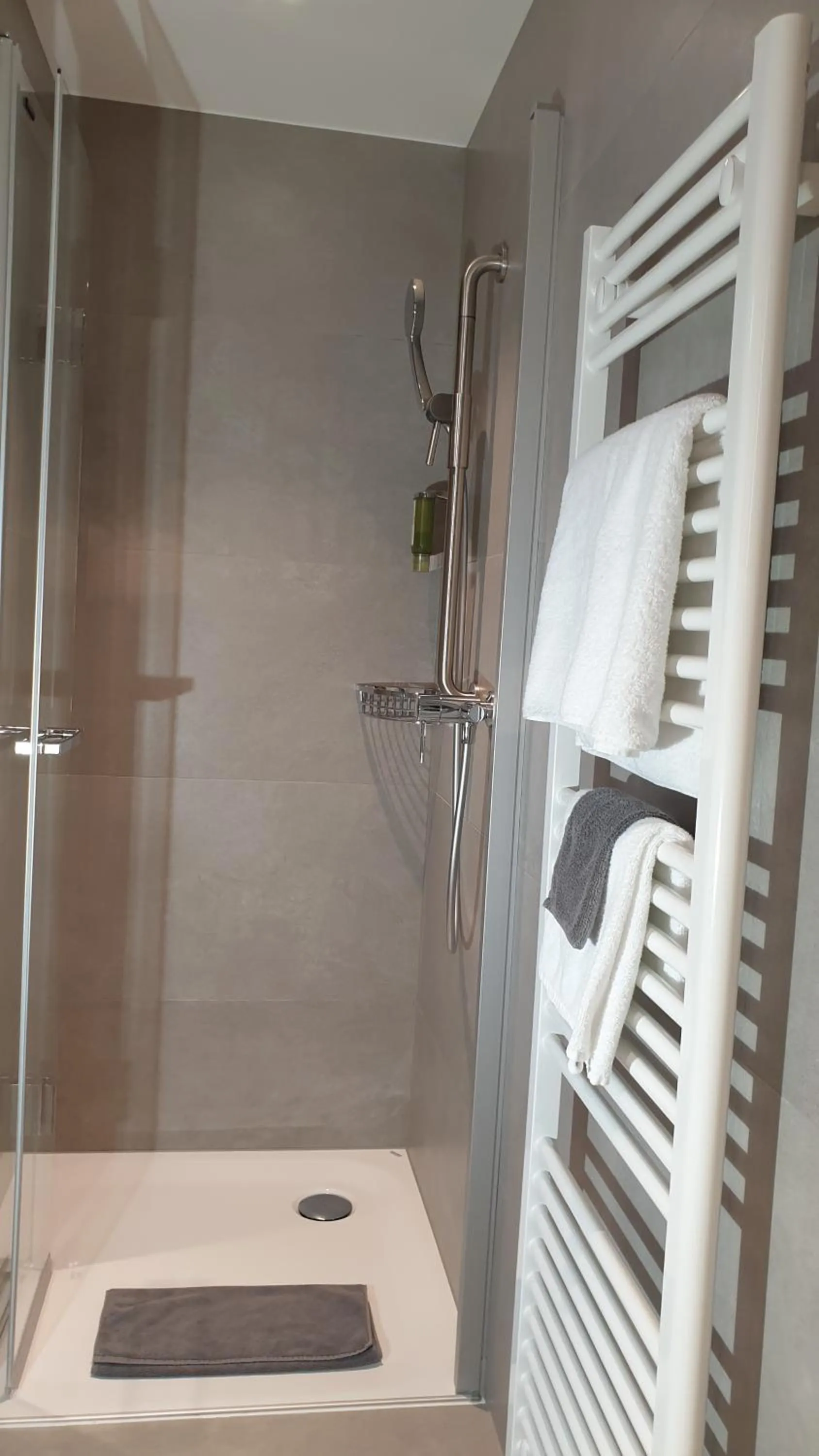 Property building in Hotel Balsthal