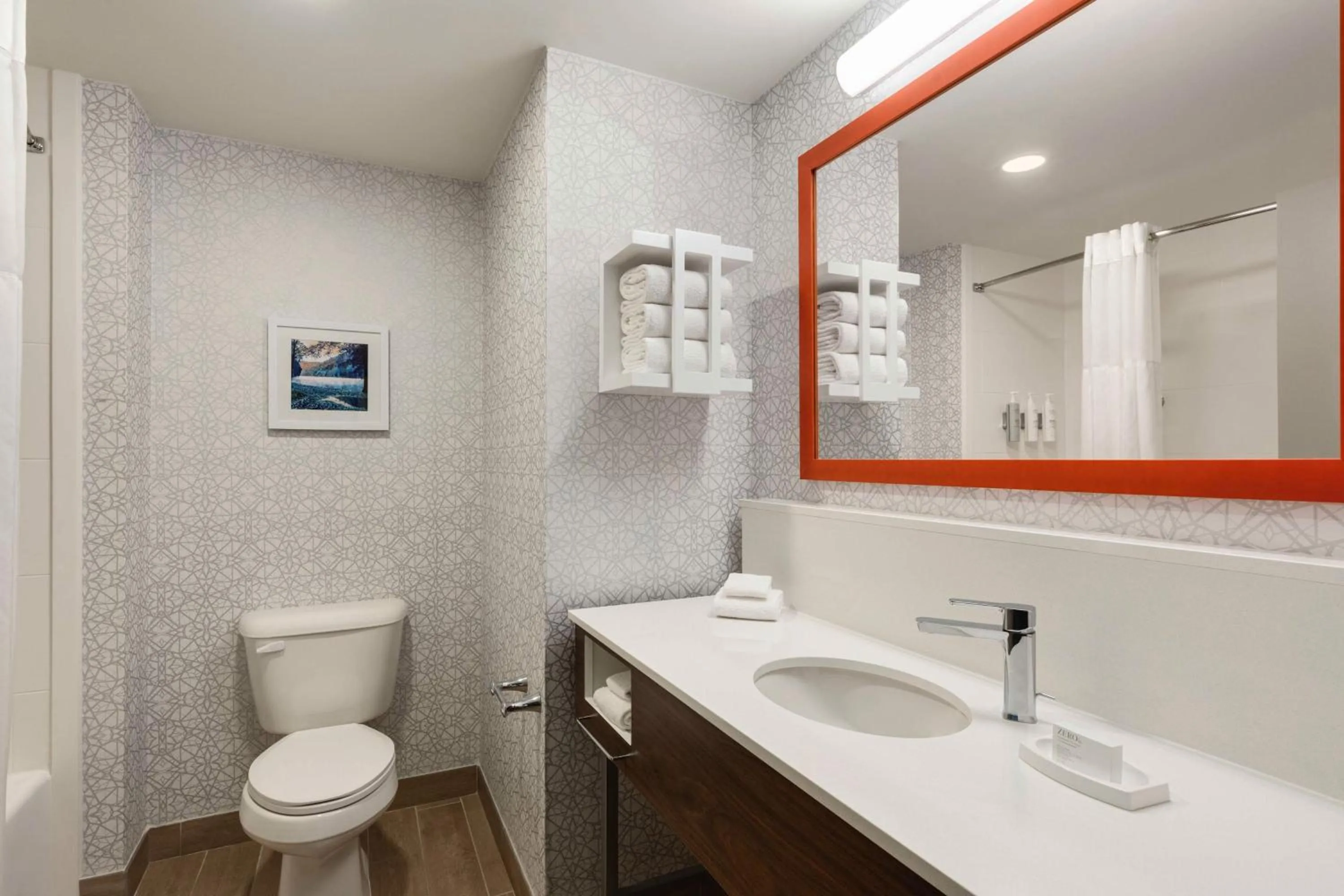 Bathroom in Hampton Inn Waynesboro/Stuarts Draft