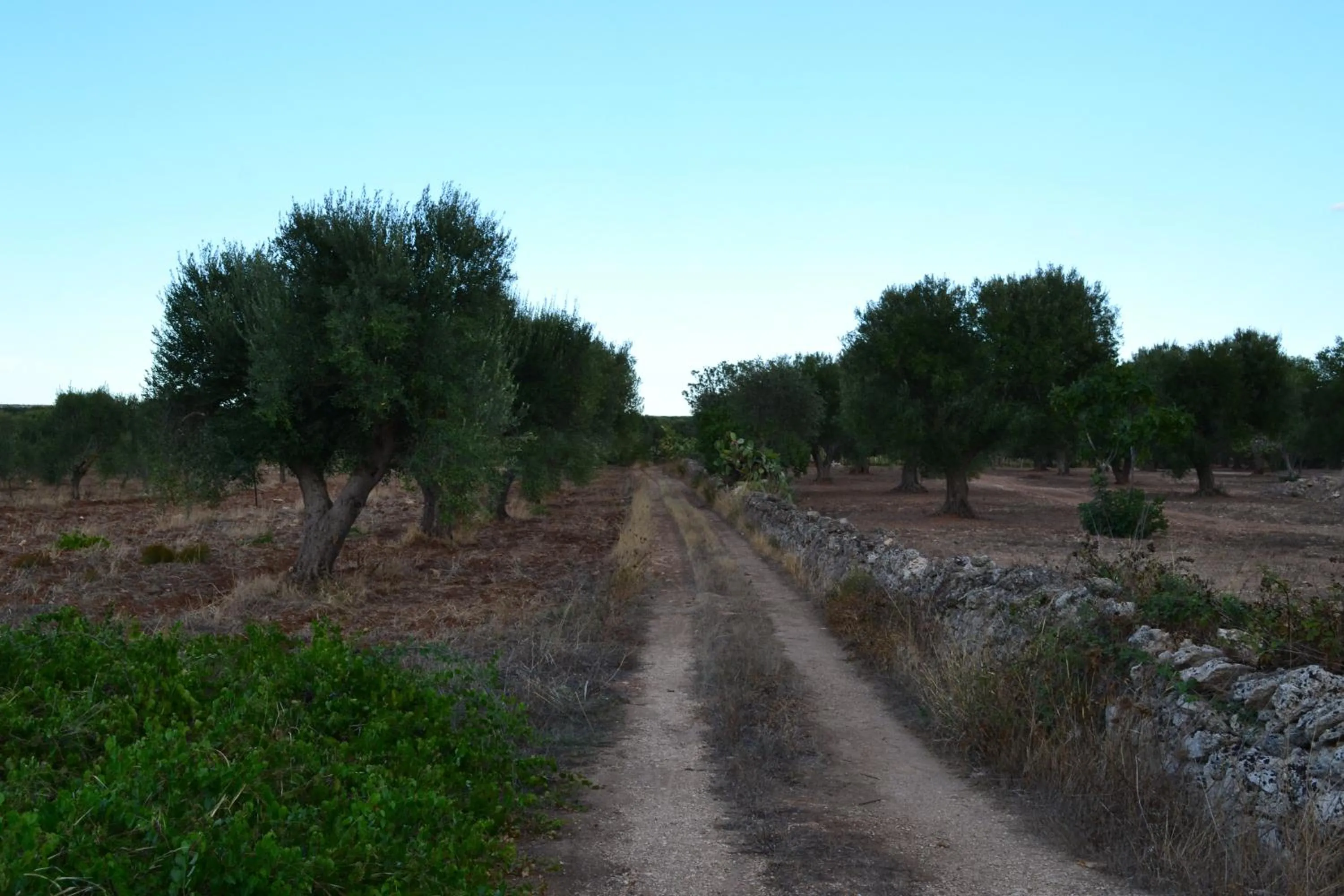 On site in Le Terrazze B&B Manduria