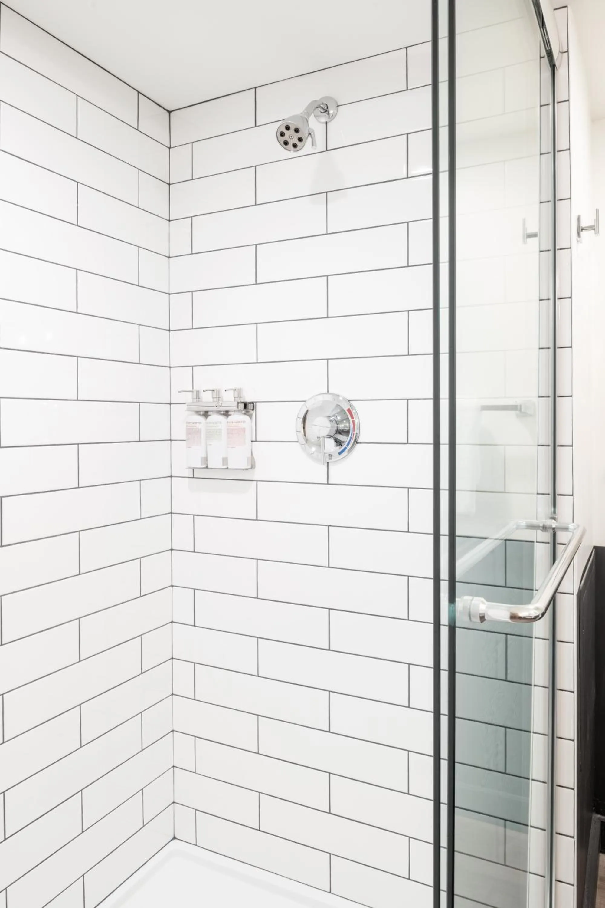 Shower in Mountain Modern Jackson Hole