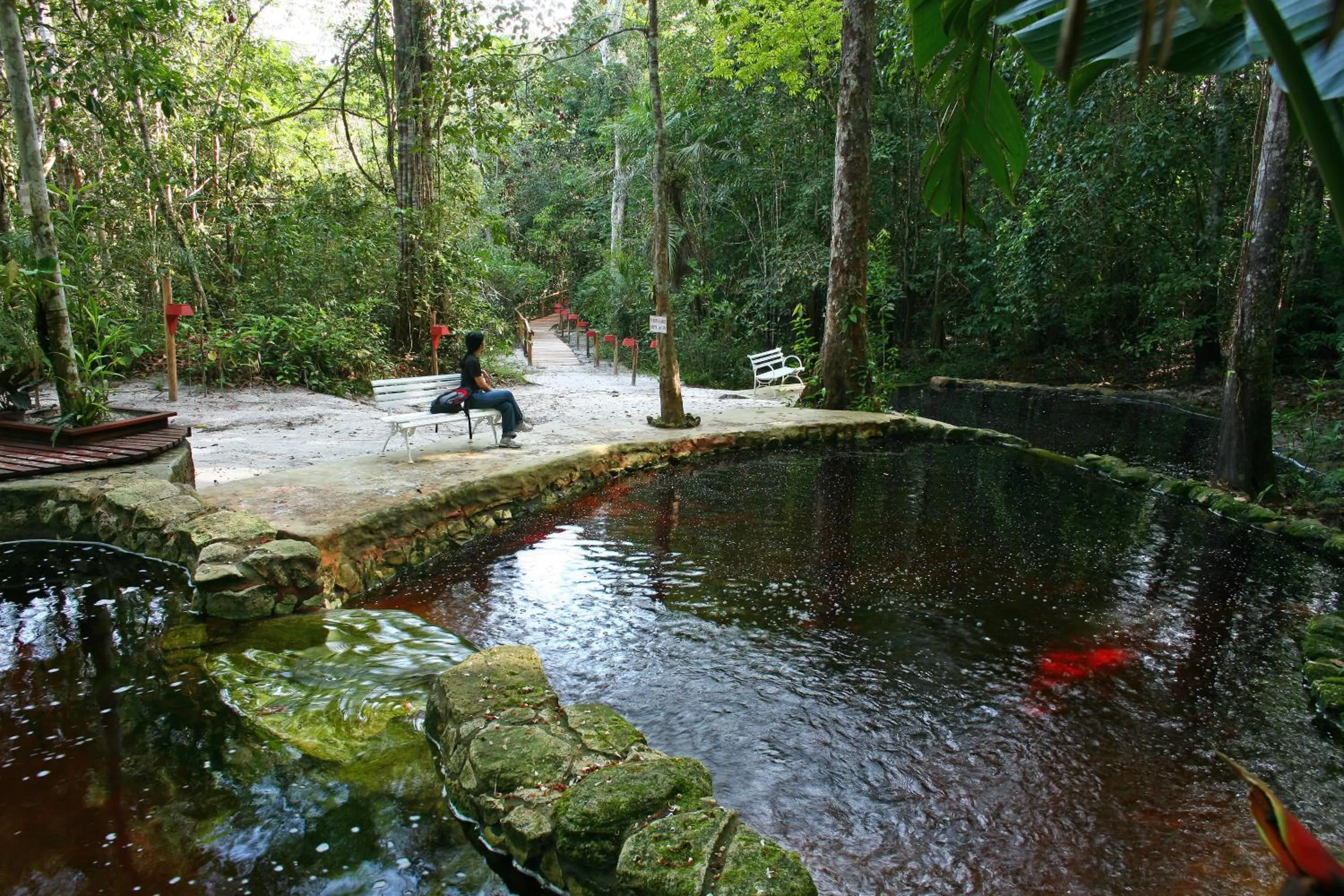 Swimming pool in Amazon Ecopark Jungle Lodge