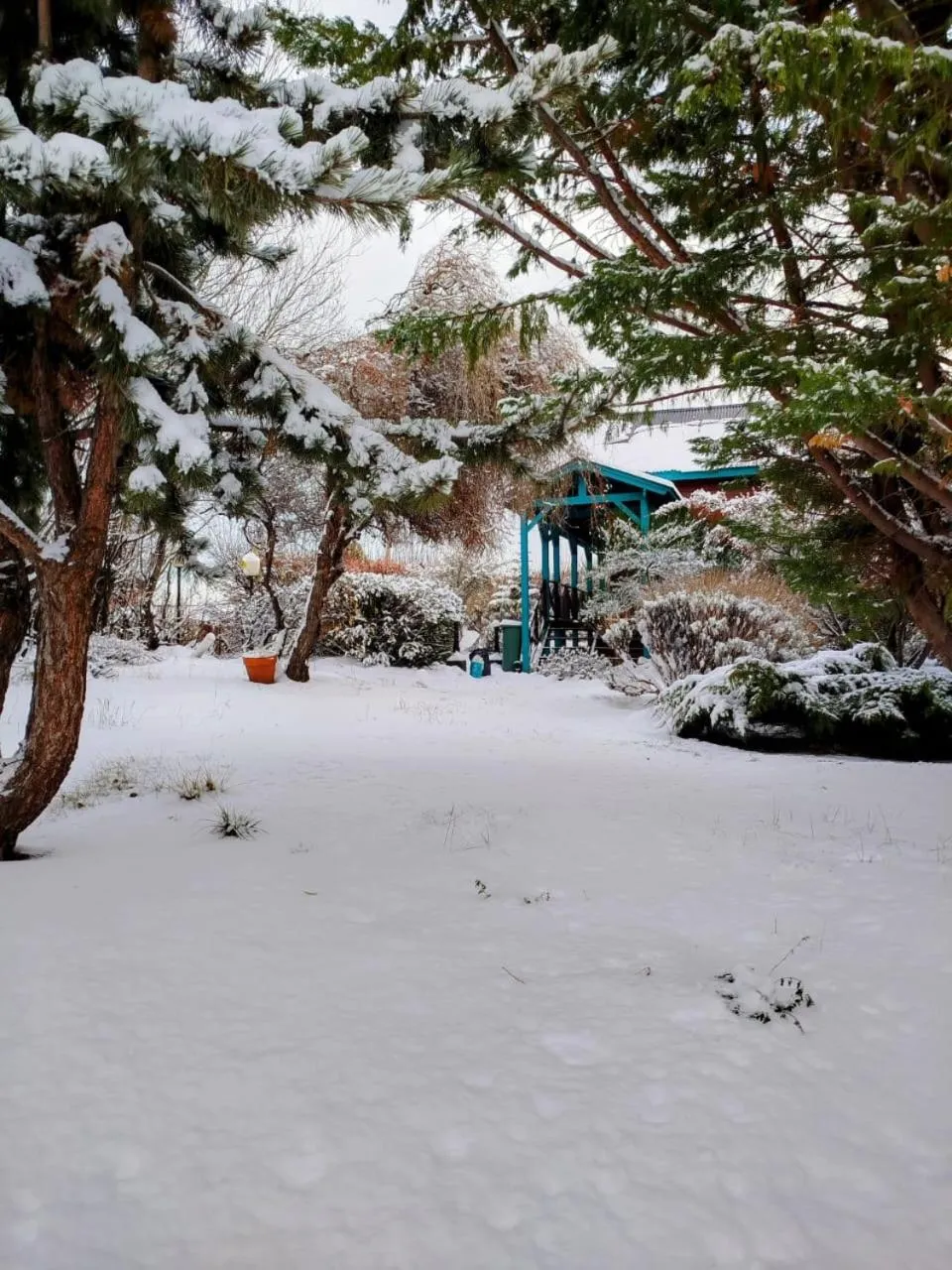 Natural landscape in Hosteria Hainen