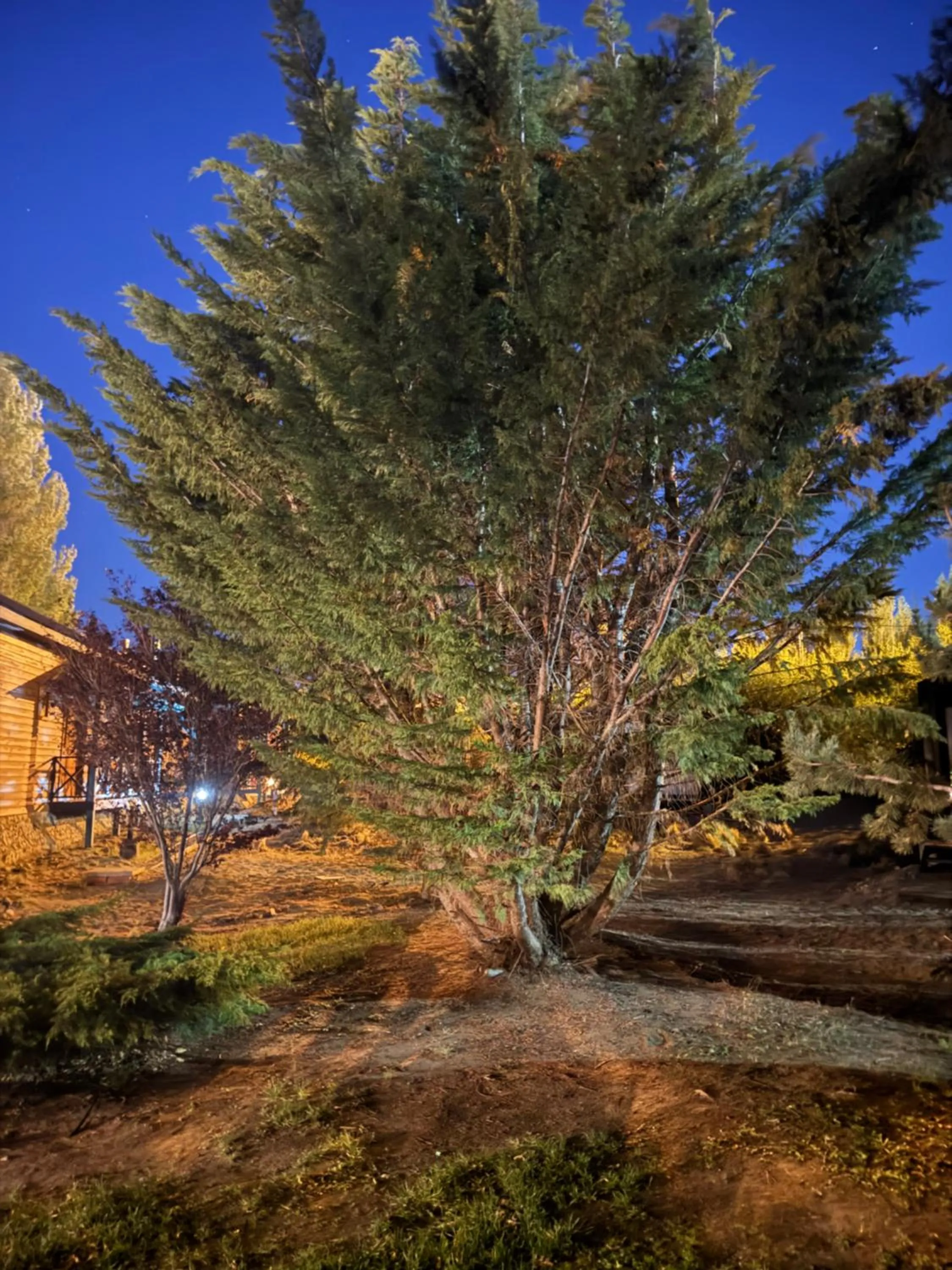 Property building in Hosteria Hainen