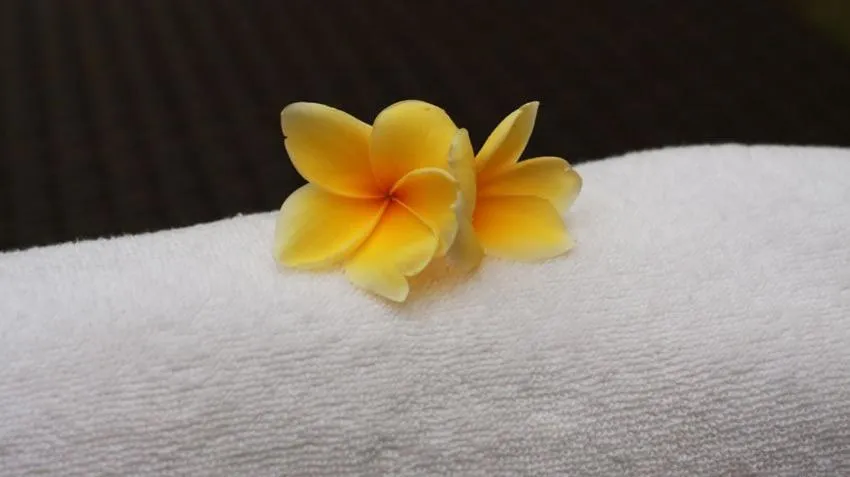 Other in Echoland Boutique Bed And Breakfast