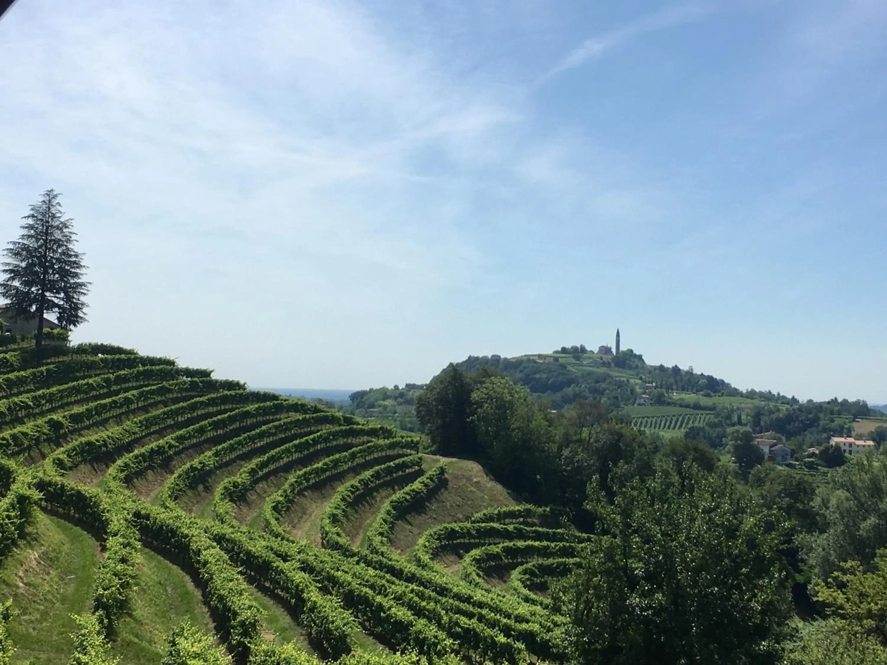 Nearby landmark in Tenuta Castagnera