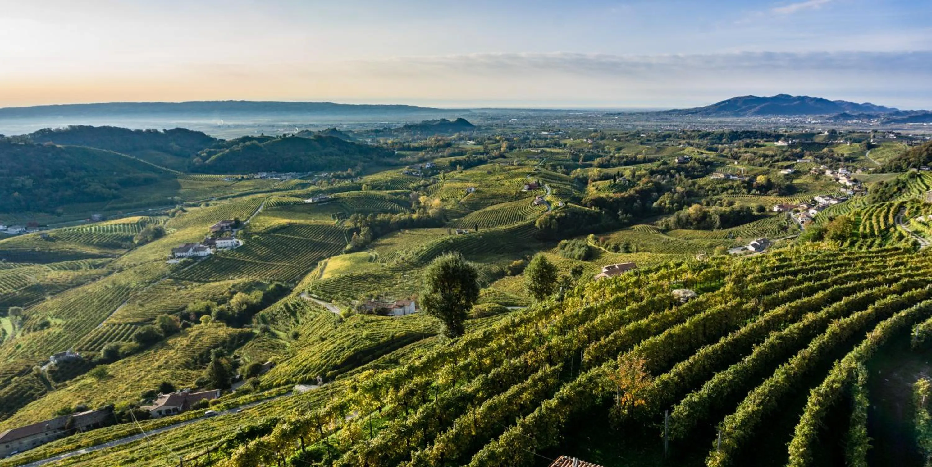 Nearby landmark in Tenuta Castagnera