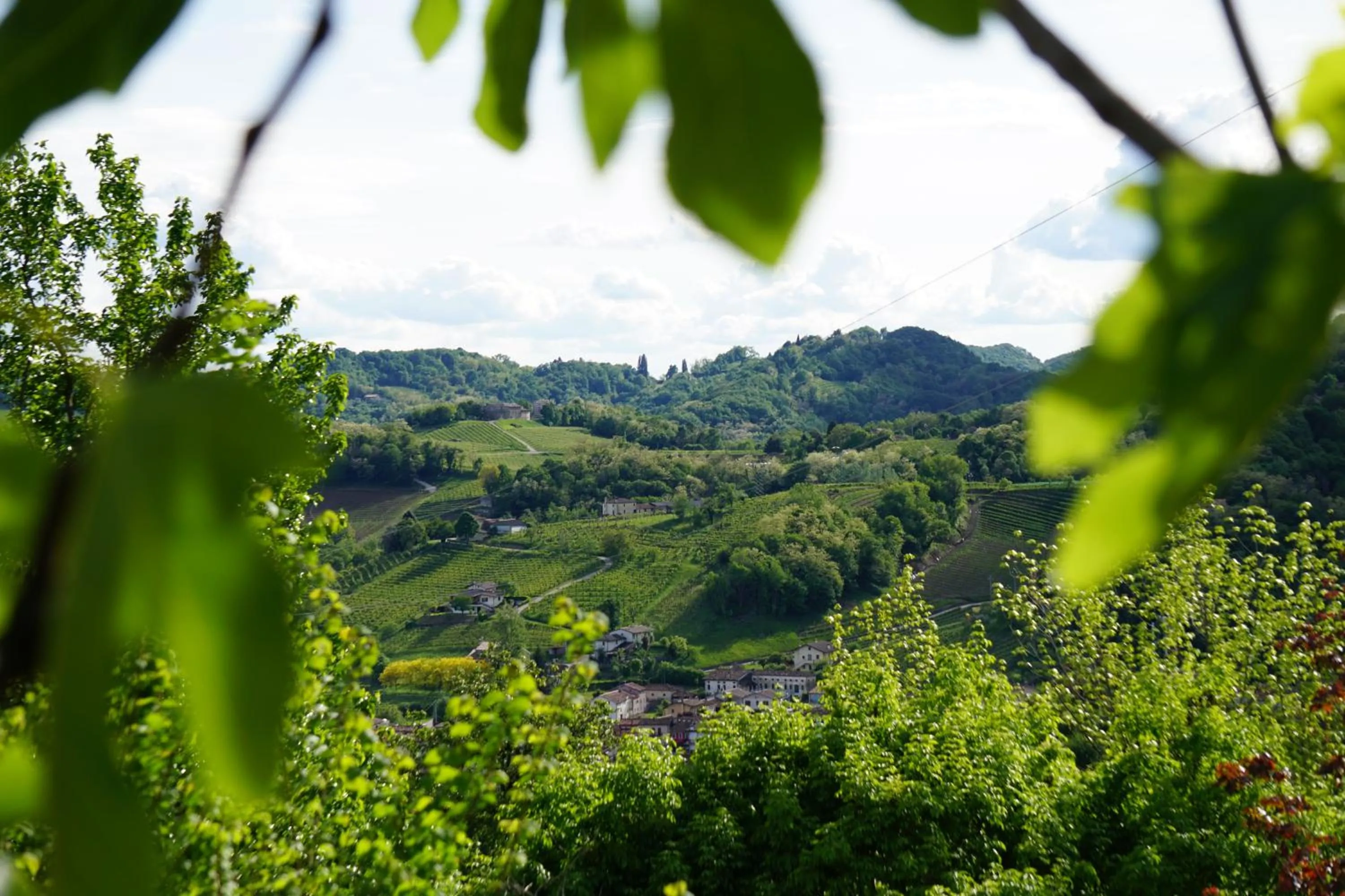 Nearby landmark in Tenuta Castagnera