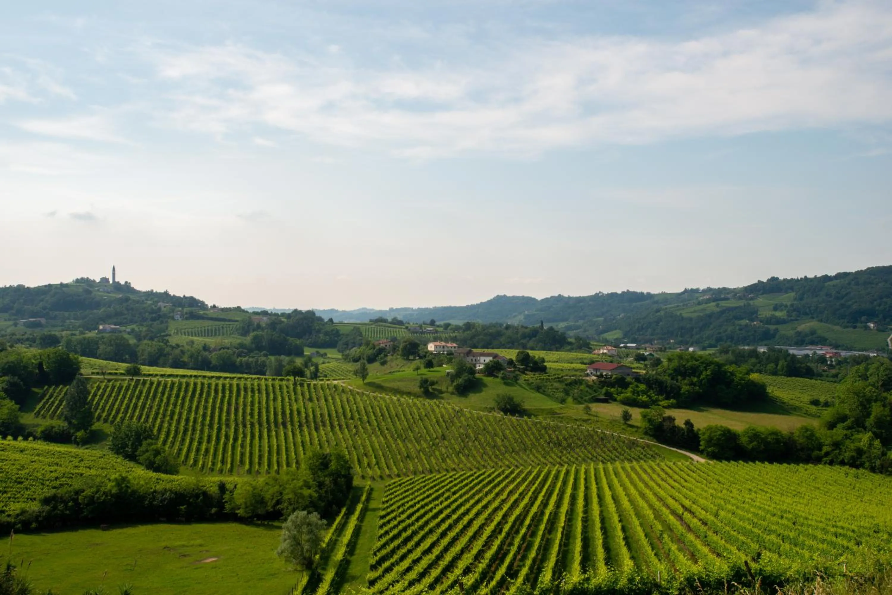 Nearby landmark in Tenuta Castagnera