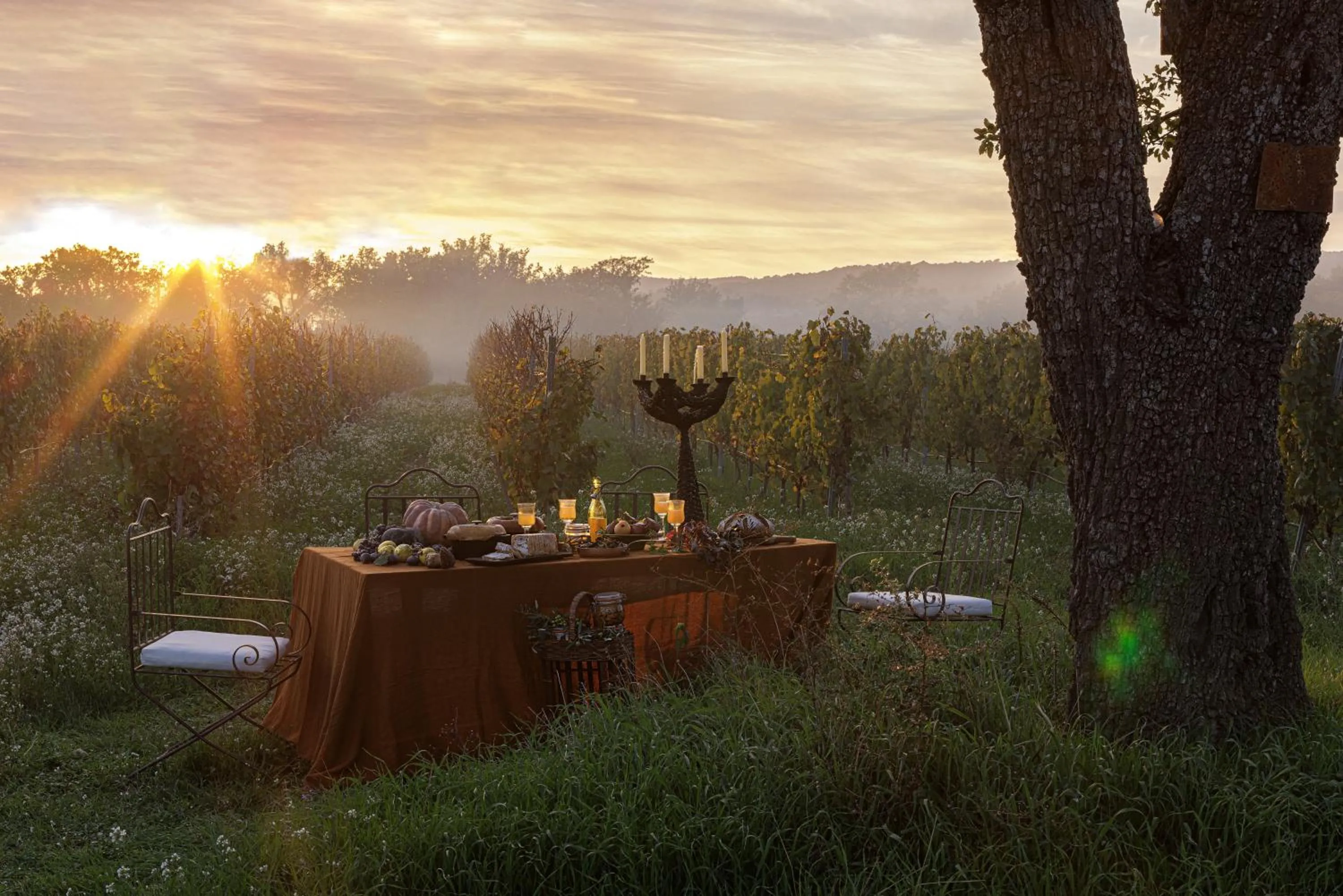 Garden in Le Phébus & Spa – Relais & Châteaux