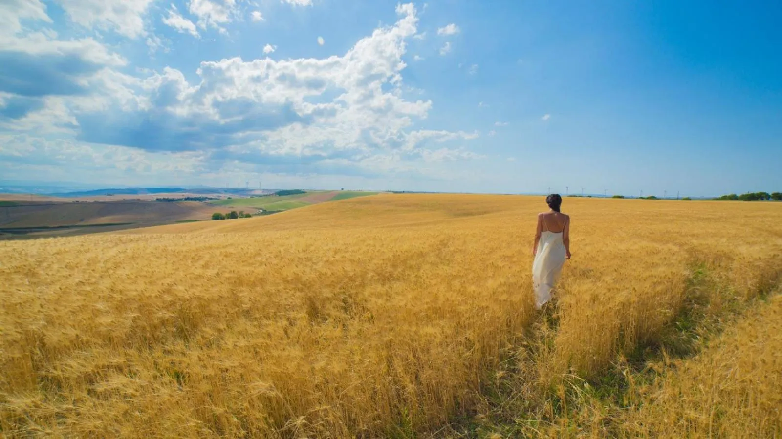 Natural landscape in Masseria Fontana di Vite