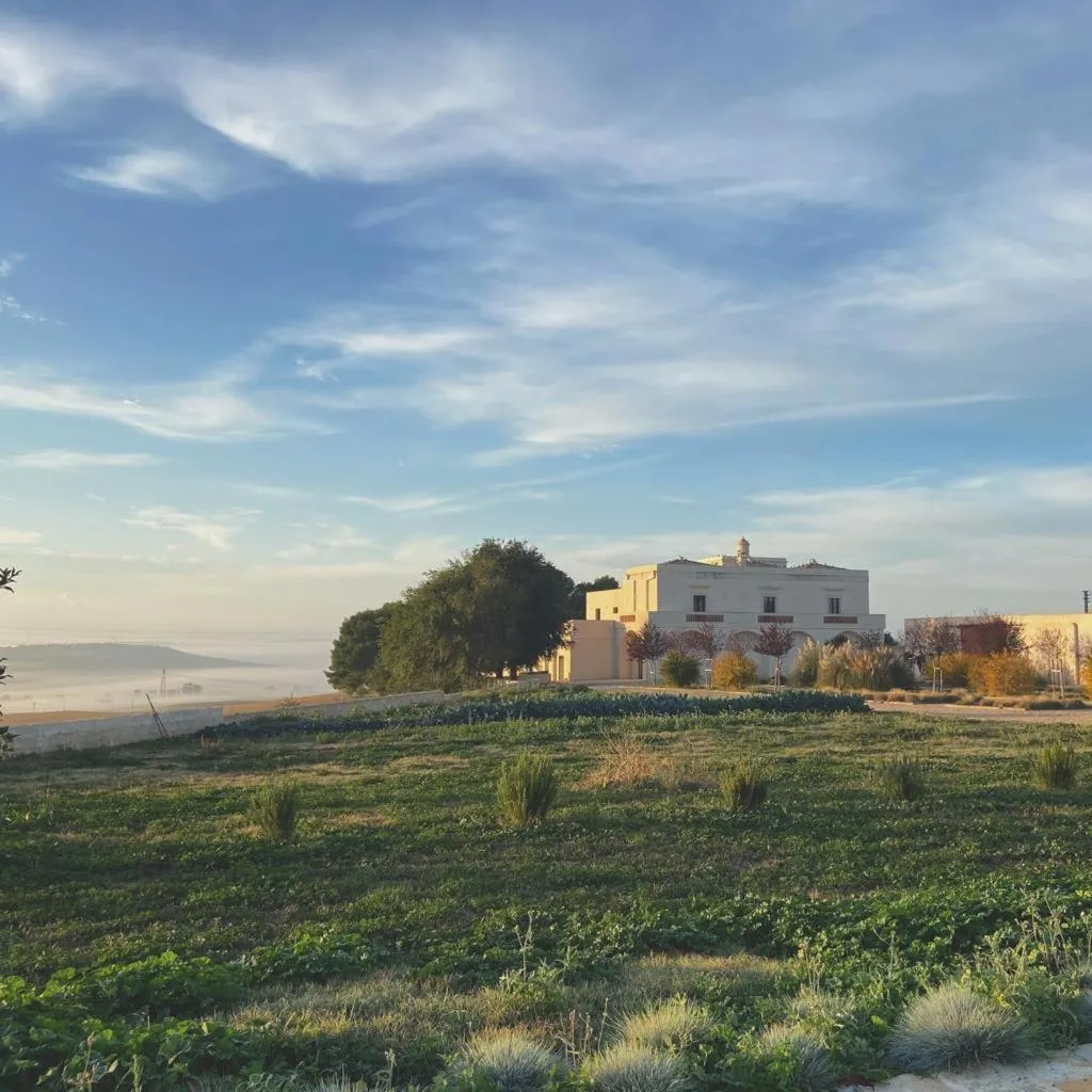 Landmark view in Masseria Fontana di Vite