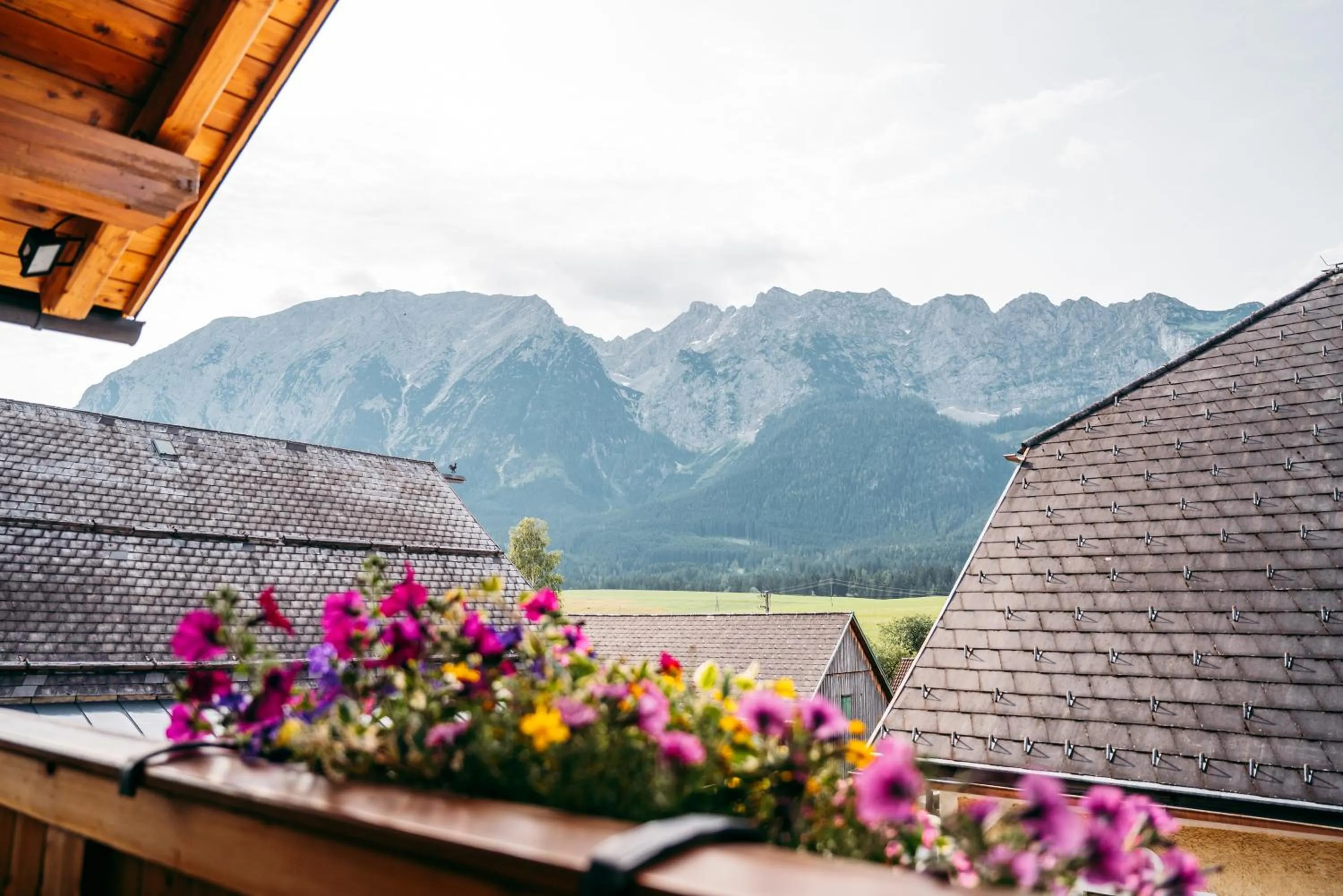 View (from property/room) in Wander- und Wellnesshotel Kanzler