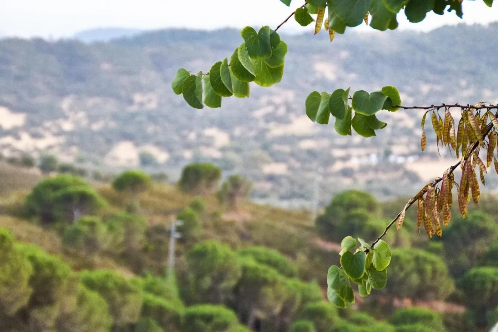 Natural landscape in Complejo Los Veneros