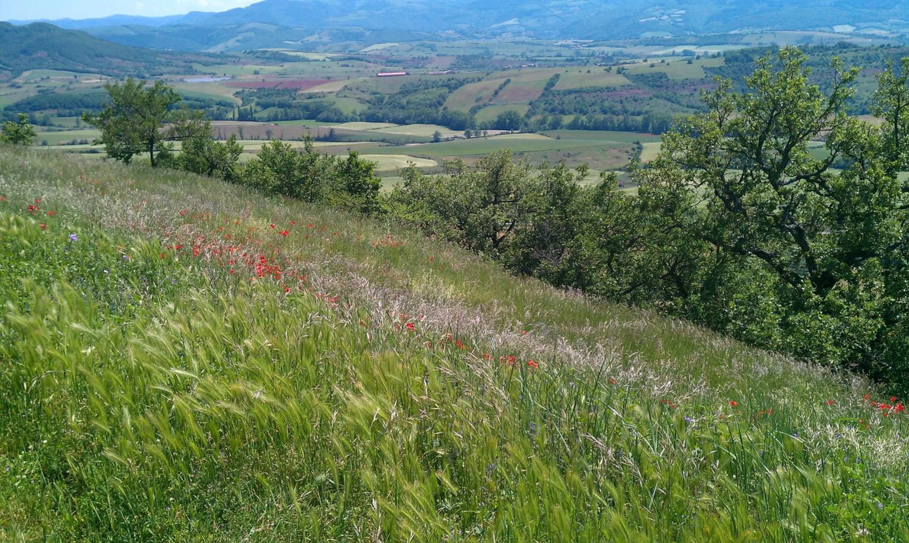 Other in Domaine du Rougier
