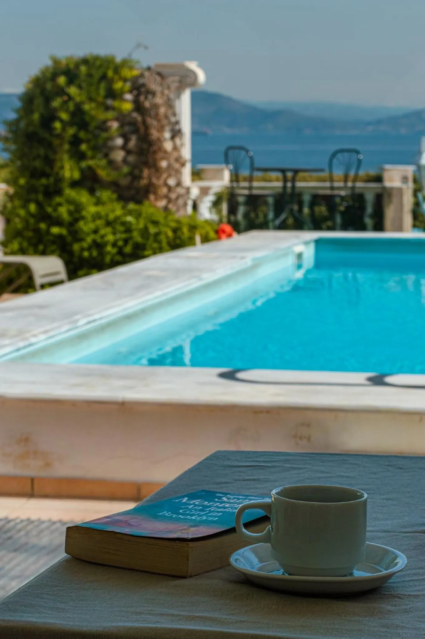 Swimming pool in Mistral