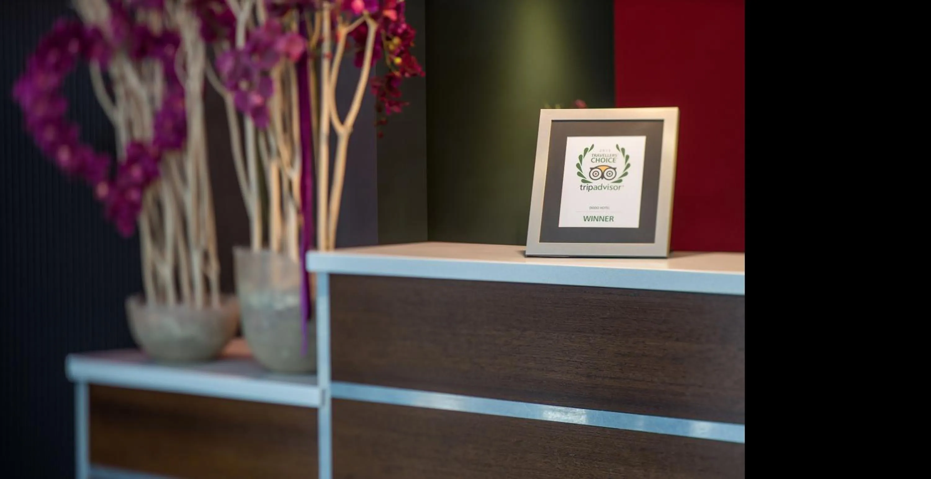 Lobby or reception in Dodo Hotel